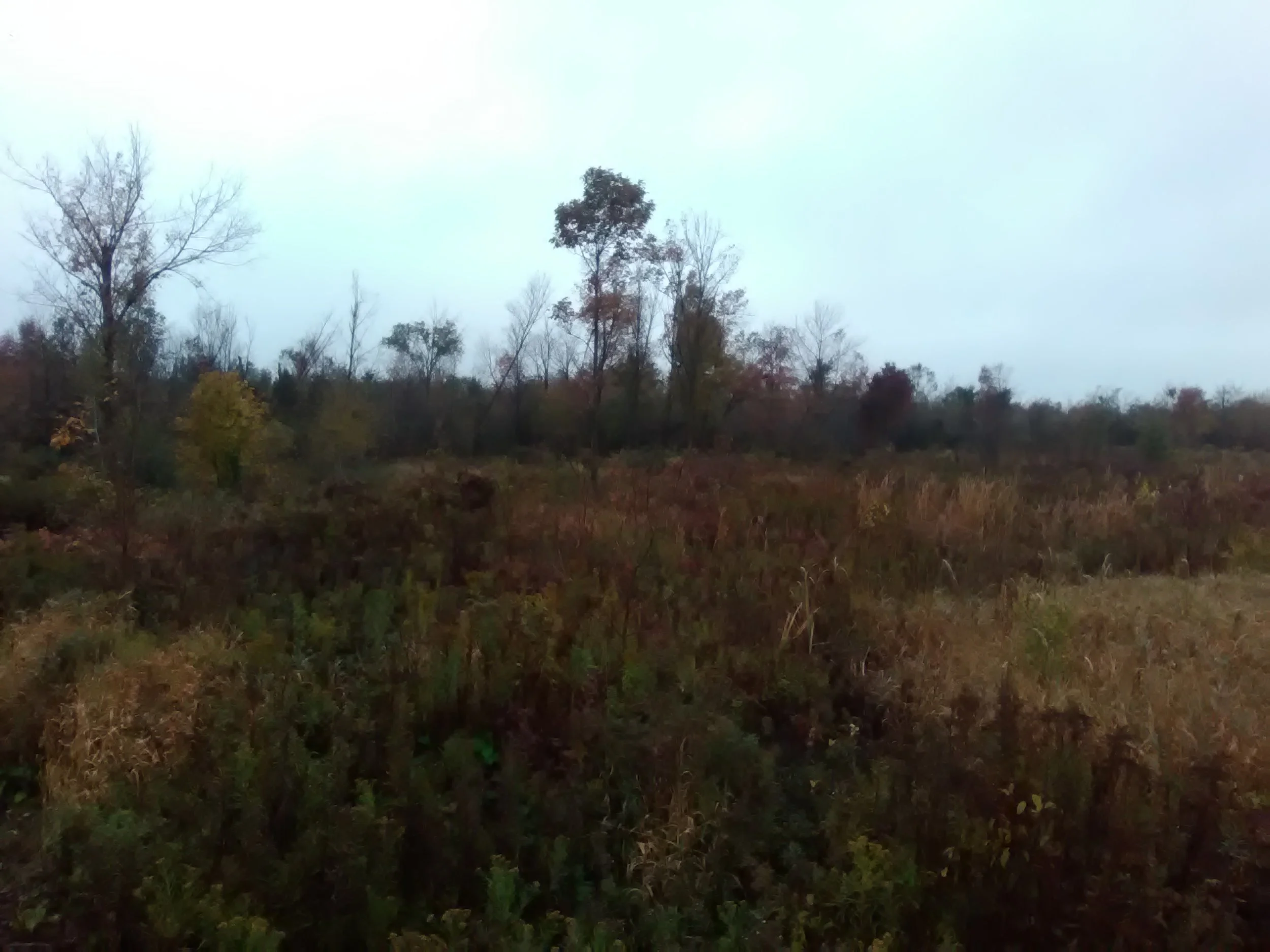 An enduring agriculture must never cease to consider and respect and preserve wilderness.-Wendell Berry