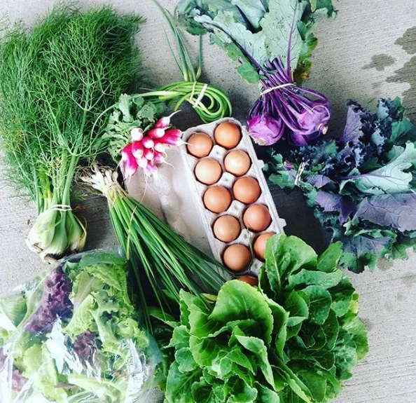 spring CSA.jpg