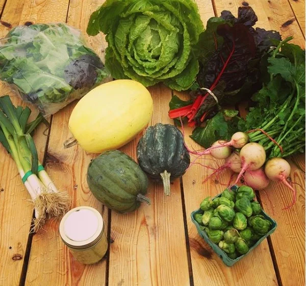 fall CSA.jpg