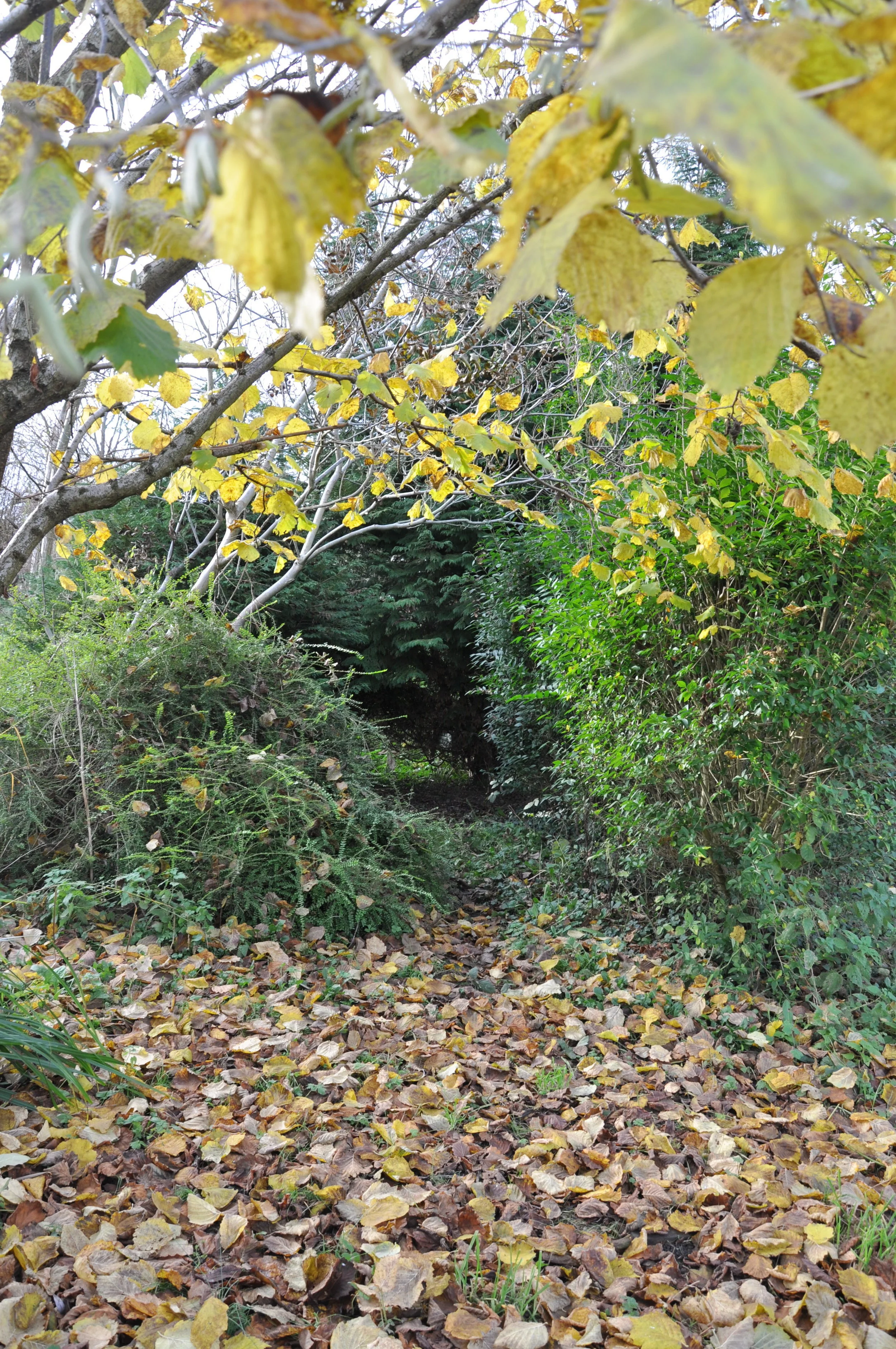 cold &amp; productive day on the acre