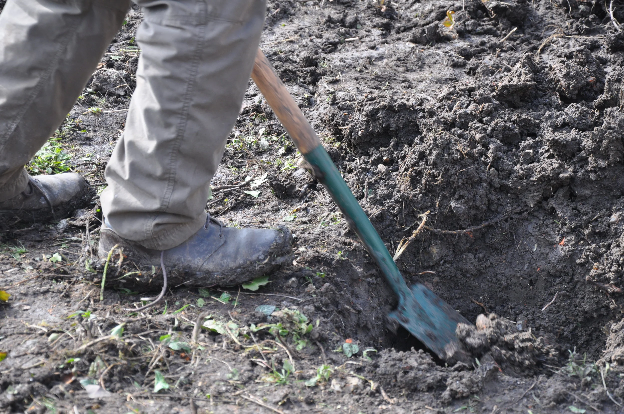 digging and transforming