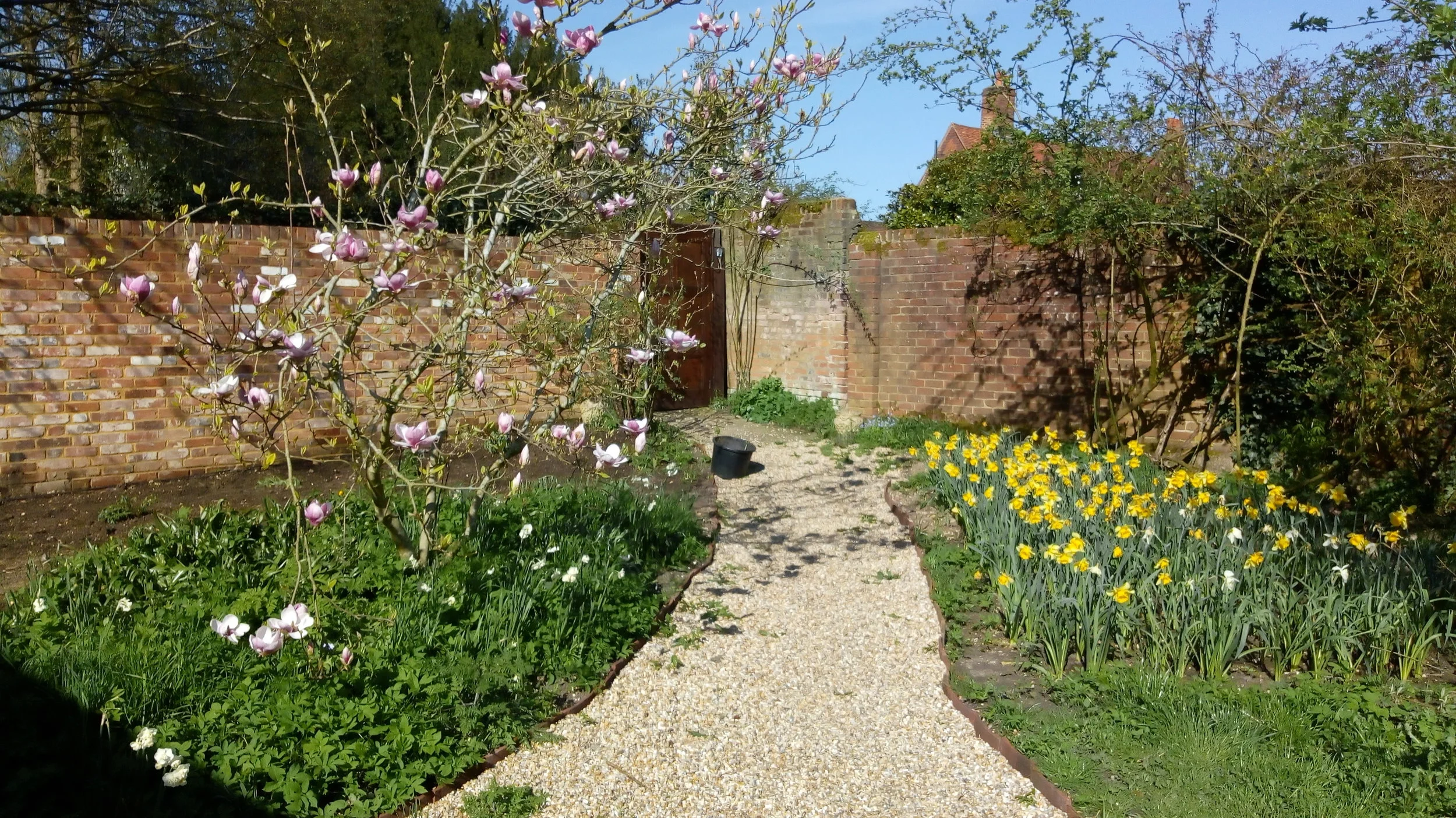 spring!