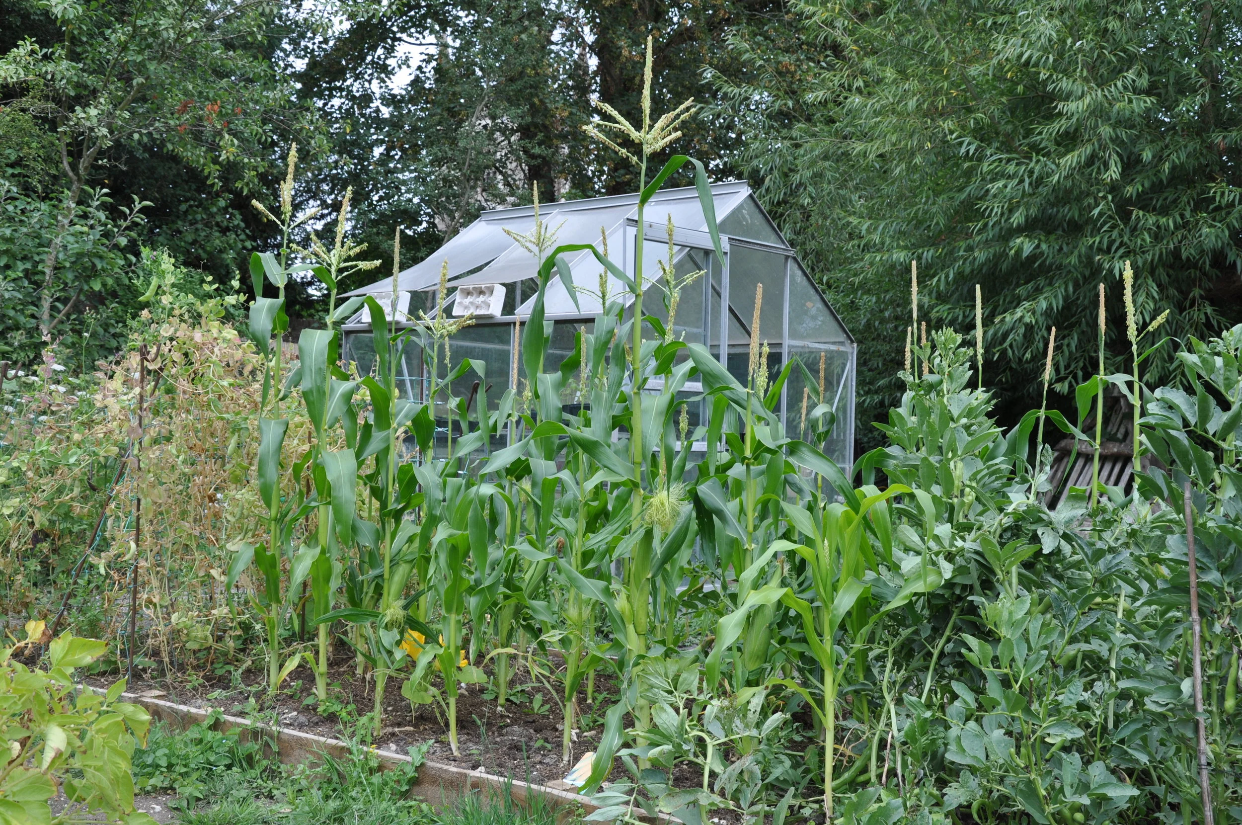 DSC_0965.JPG