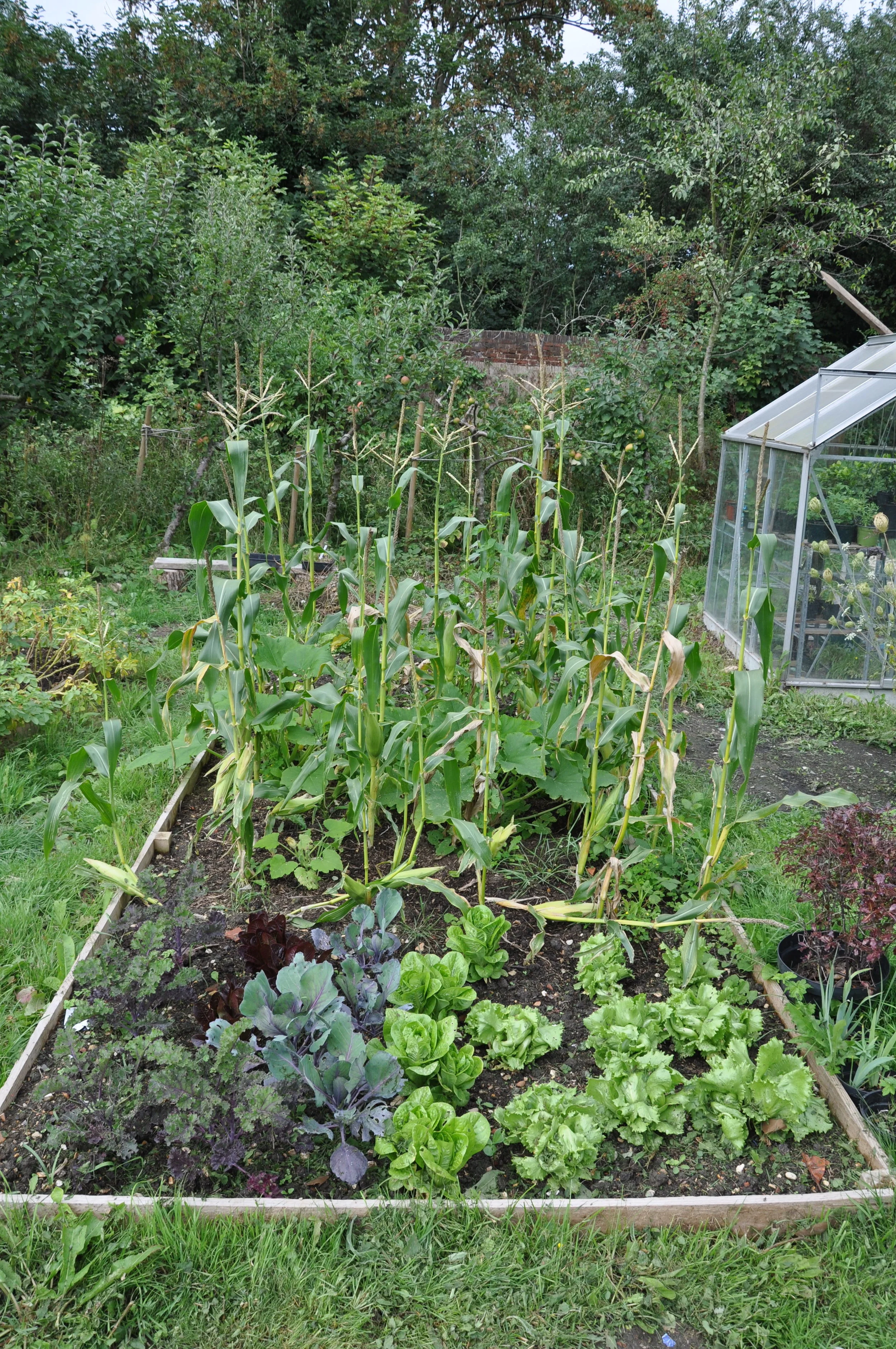 clearing &amp; cropping