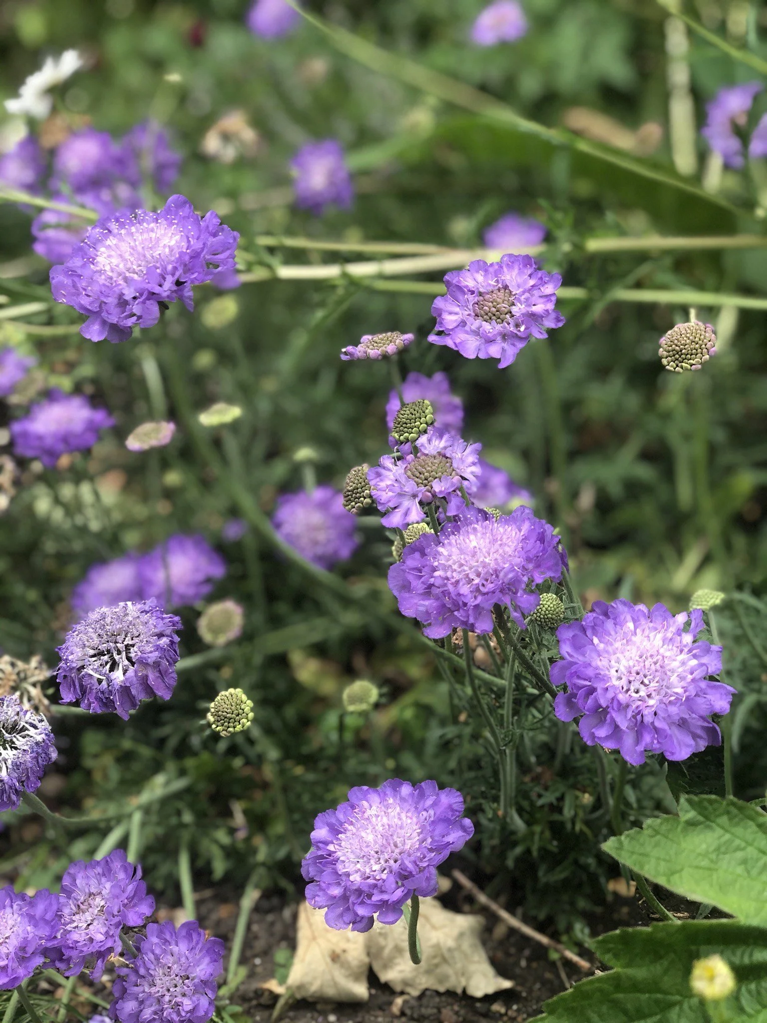 Raindrops keep falling on my head...