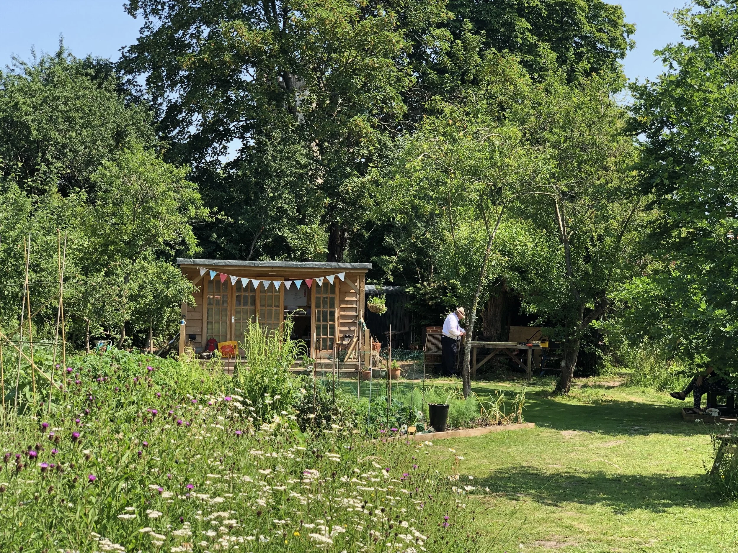 Take a walk on the wild side