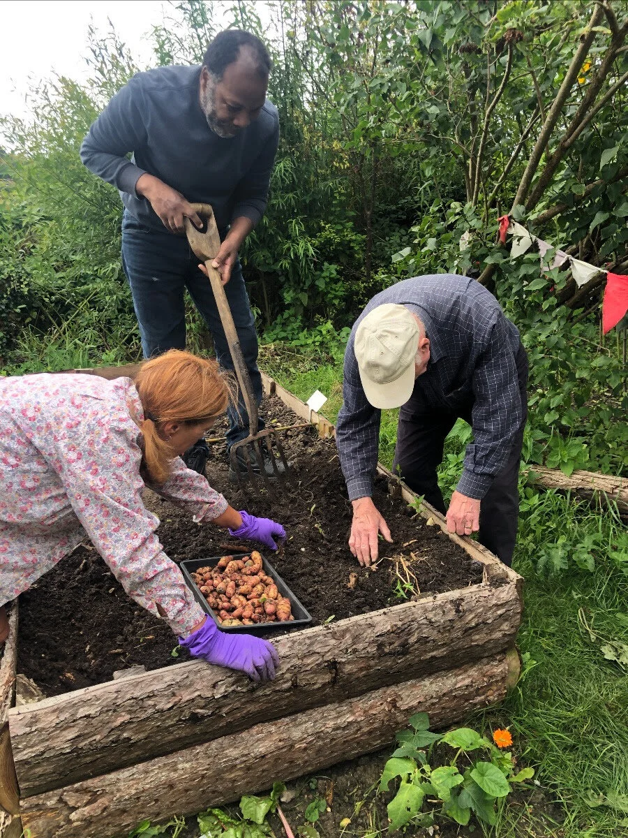 a bountiful garden harvest