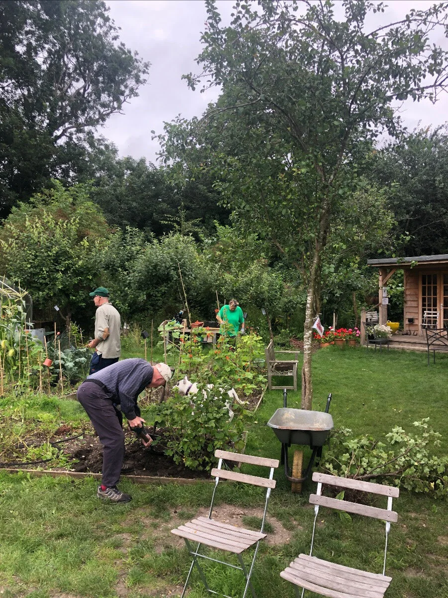 hard at work in the garden
