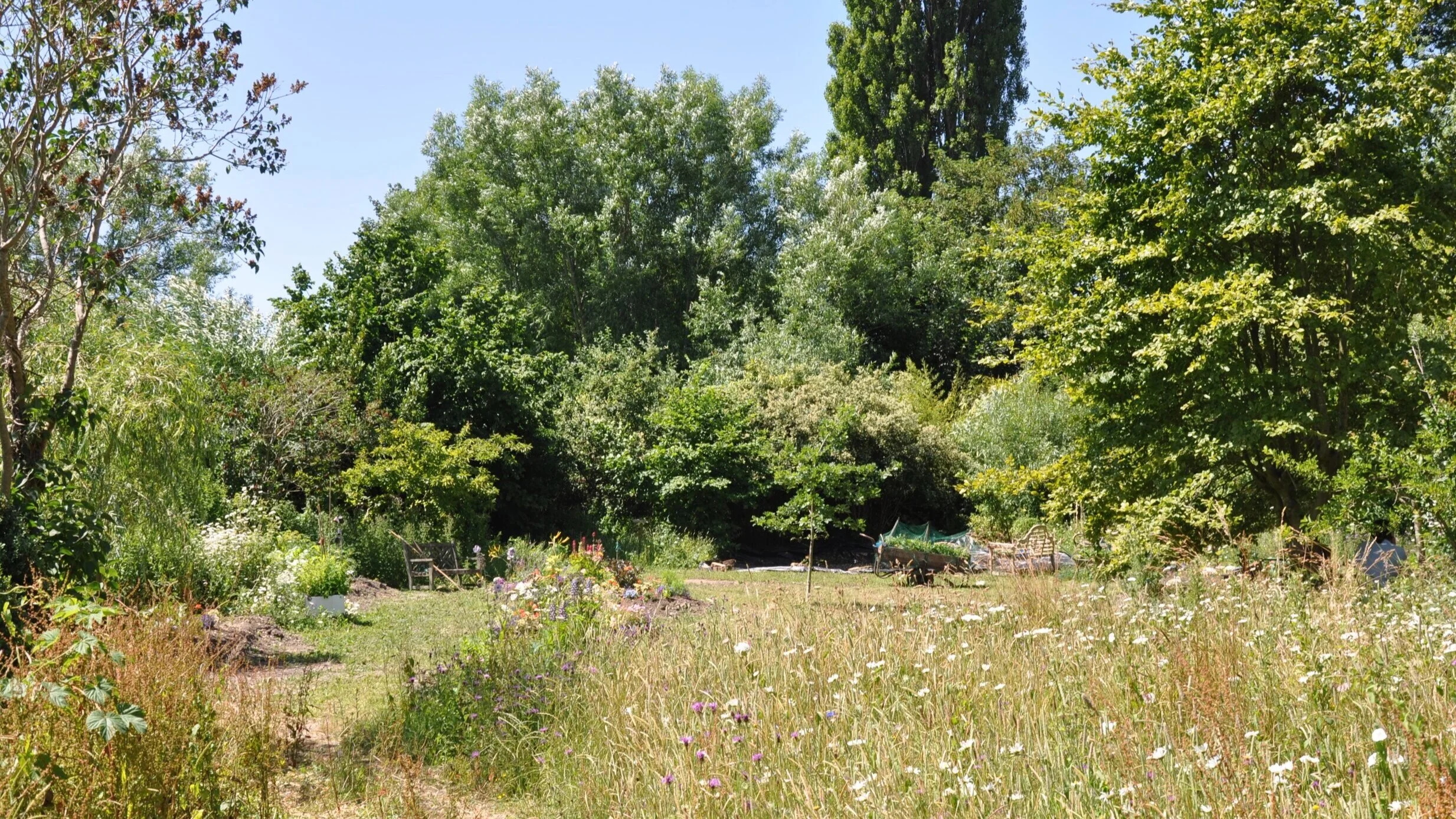 DSC_0697.jpg