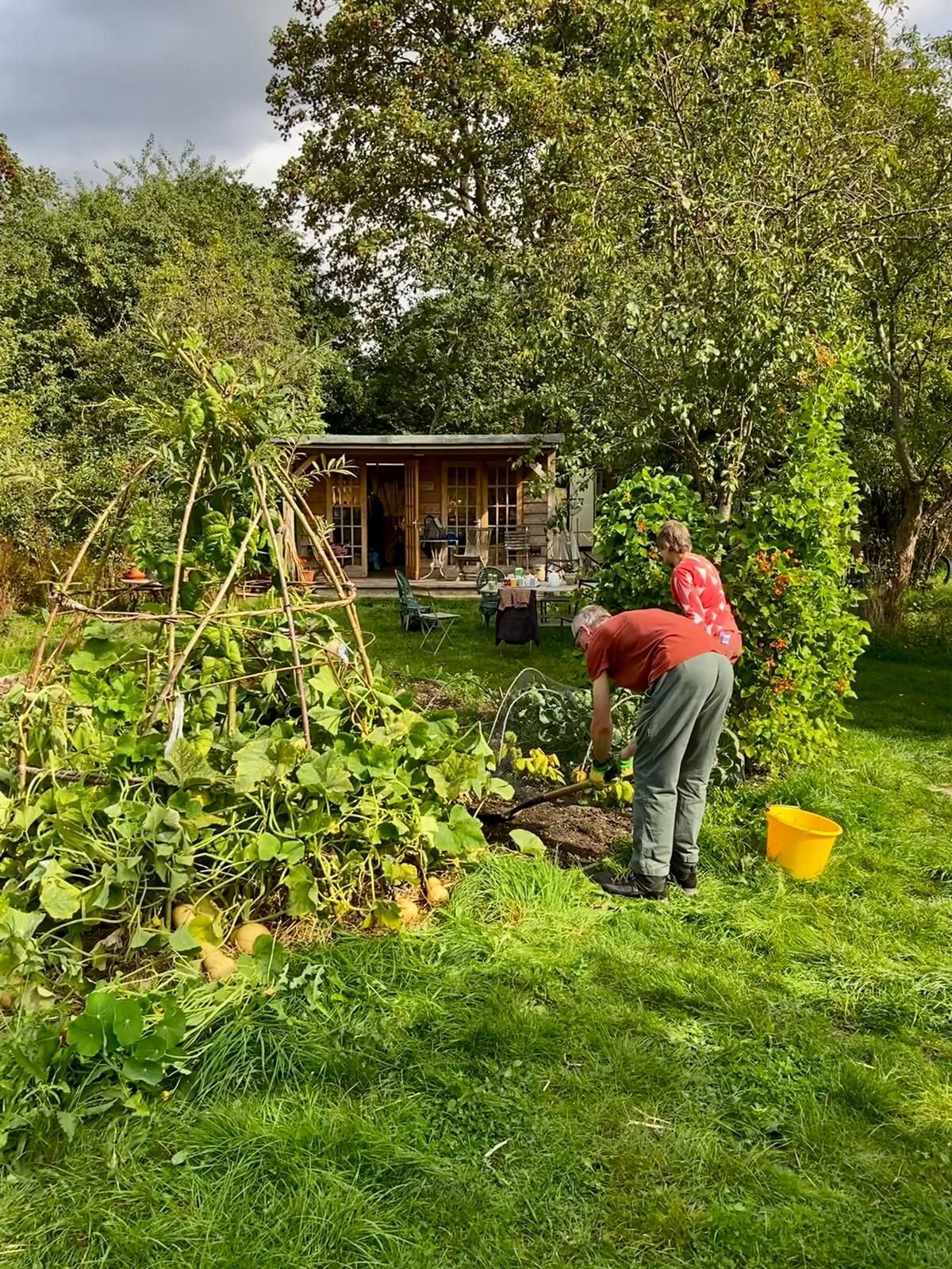 clearing veg patch.jpg