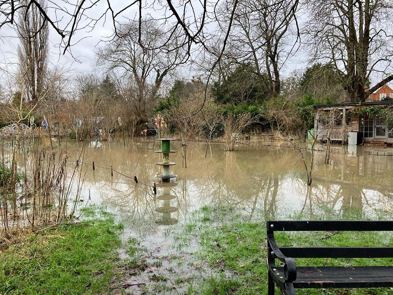 We started the year with an awful lot of water from the storms and rain. Luckily (and magically) it seemed to disperse as fast as it appeared. 

They last time we were flooded like this was three years ago and it damaged the pond lining but very plea