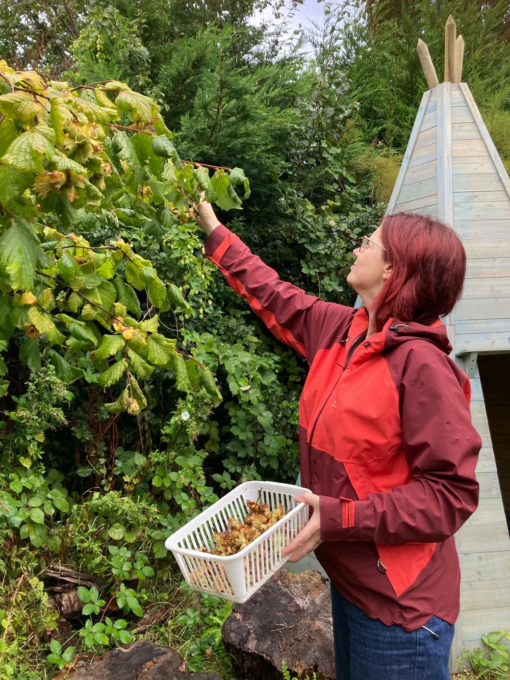 6548dd85-ad1d-4d03-9084-299b5a6ab7b4 2.JPG