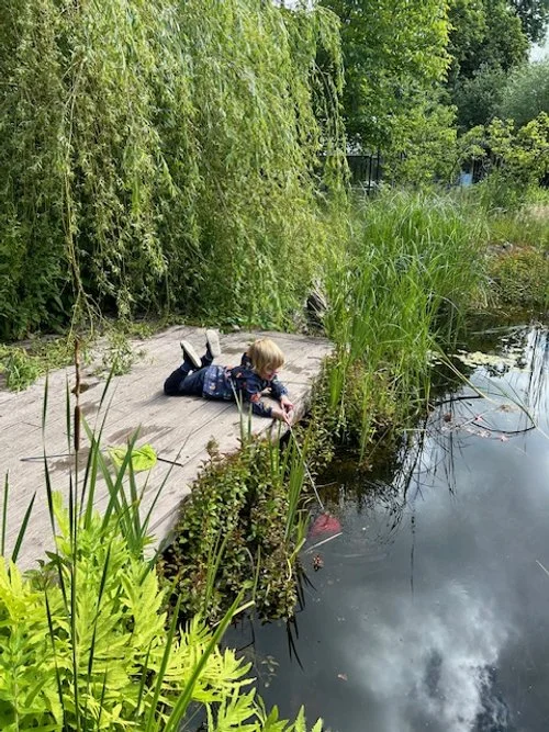 space2play -pond dipping - Summer 2025.jpeg