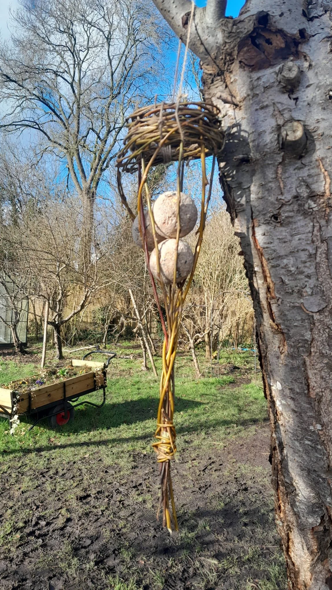 dda2553c-eaf3-4743-81a5-caf2ac09e003 2.JPG