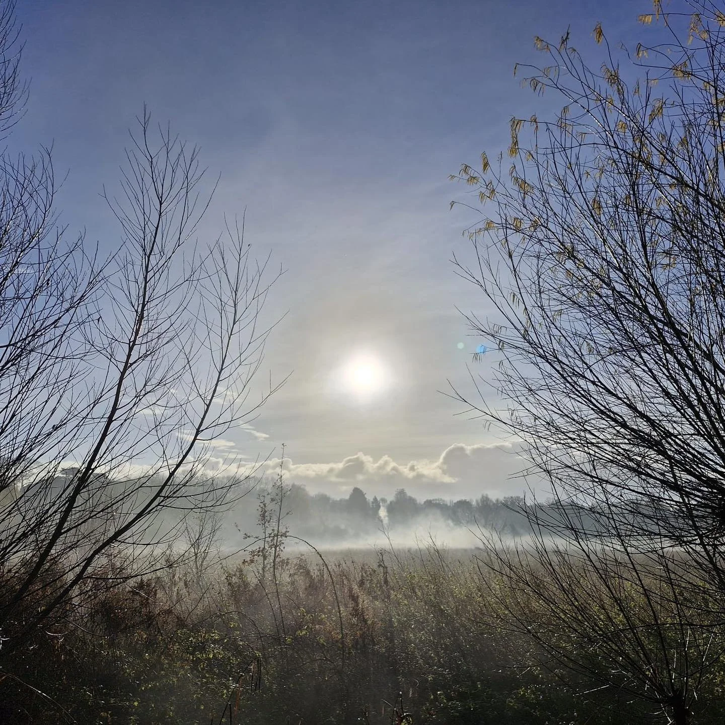 Such a wet start to the year, this photo is from one of the rare sunny days we've had recently. 🤩

All our groups are back up and running...
🐞 space2play forest style toddler sessions
🦋 teen wellbeing groups
💚 targeted children support clubs
🐛 H