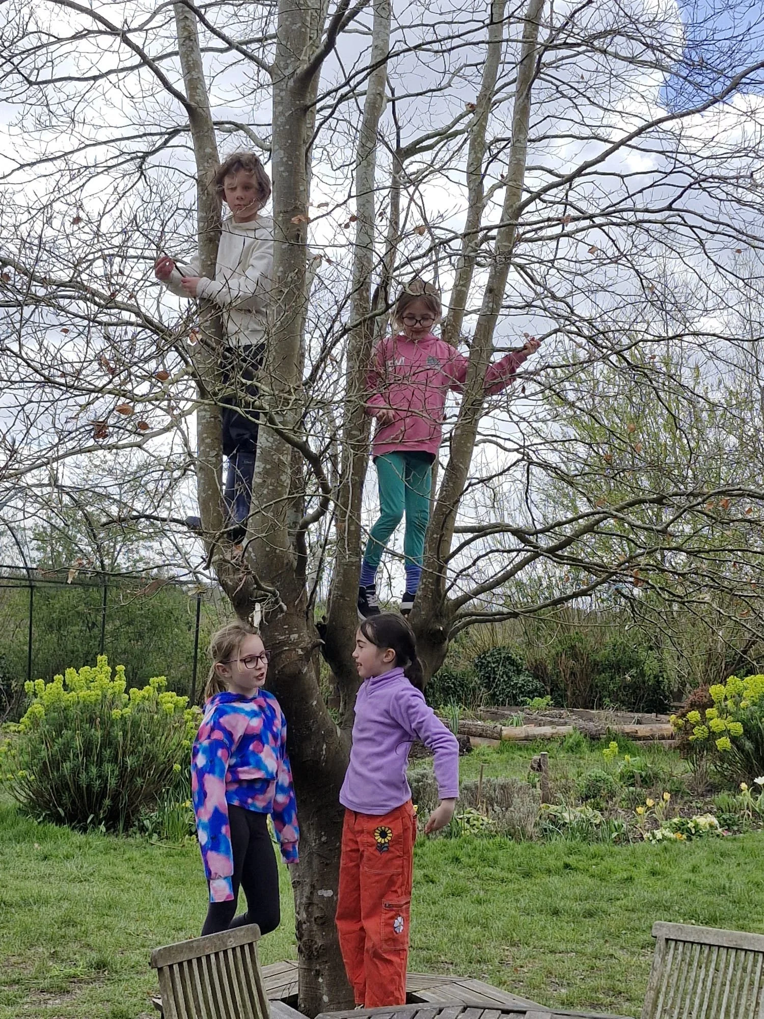 PHOTO-2026-04-28-18-17-24.jpg