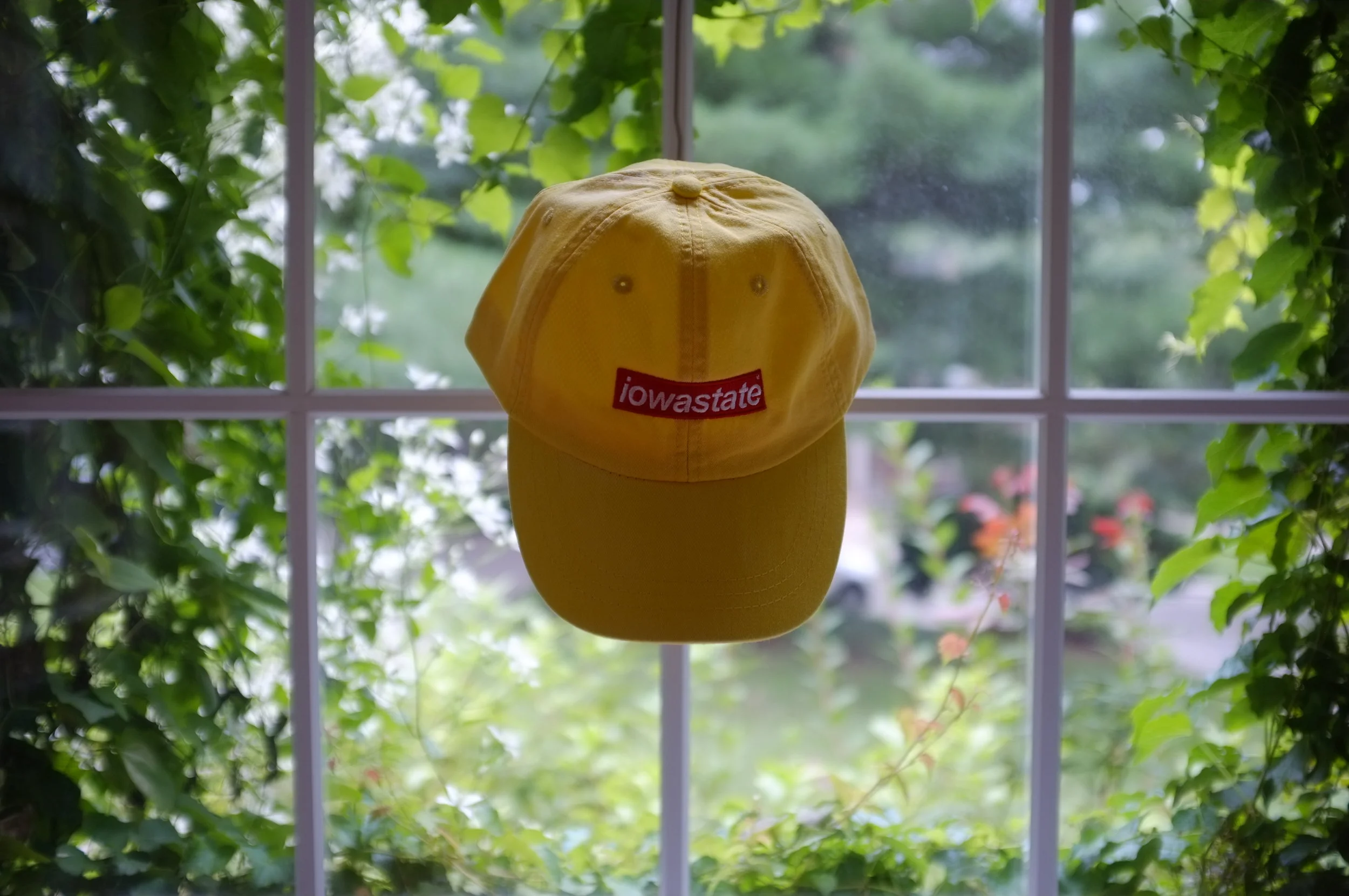 Yellow Iowa State on Window