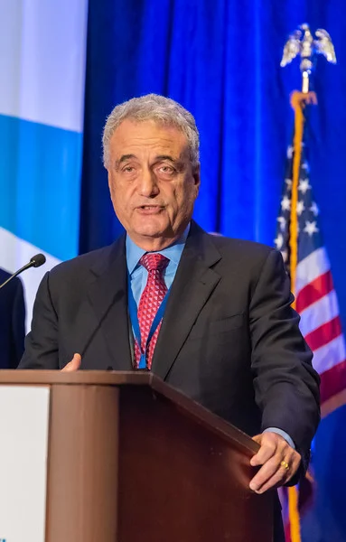 Peter Ackerman accepts the Political category award.