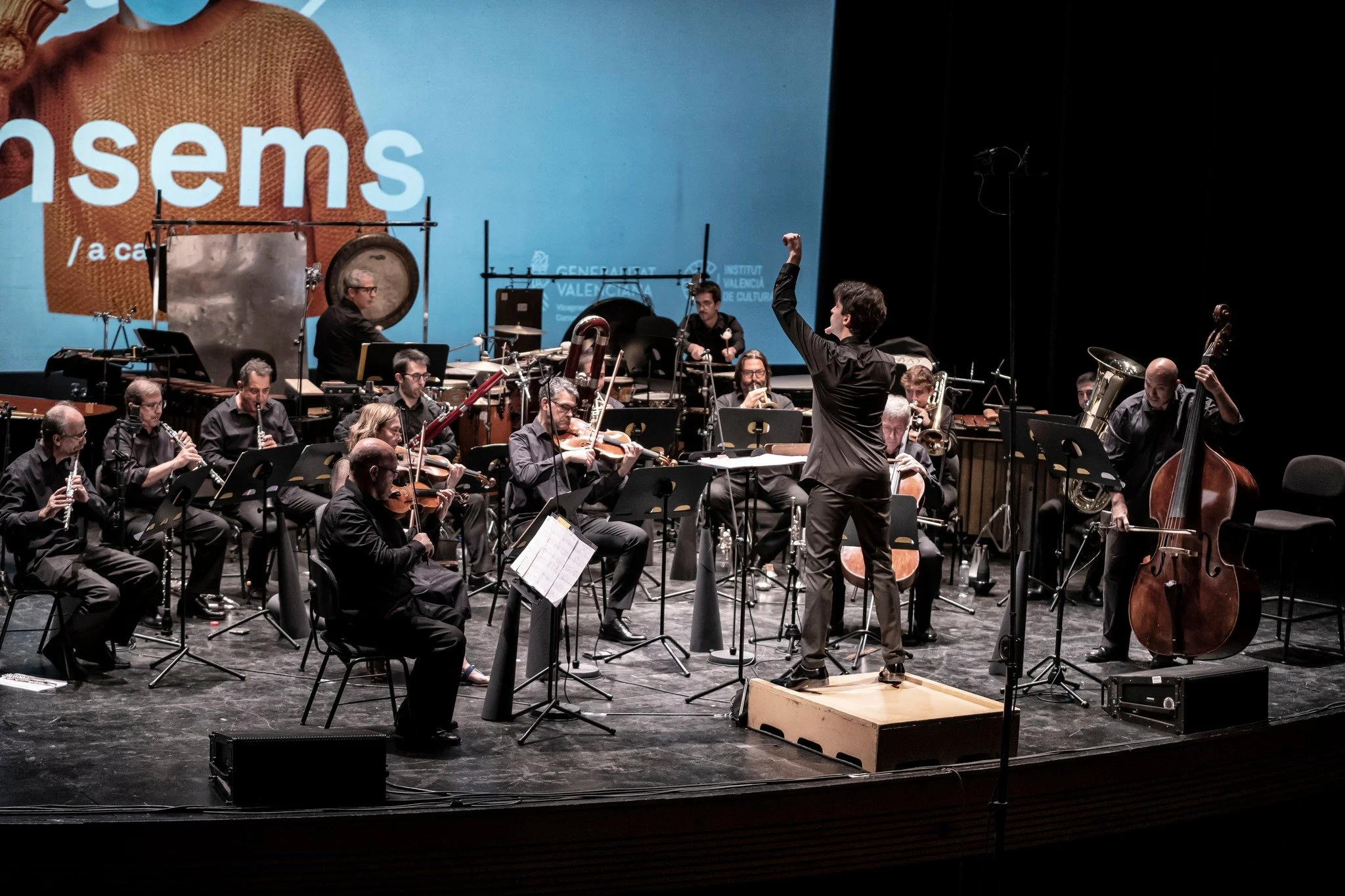 Festival Ensems 2.jpeg