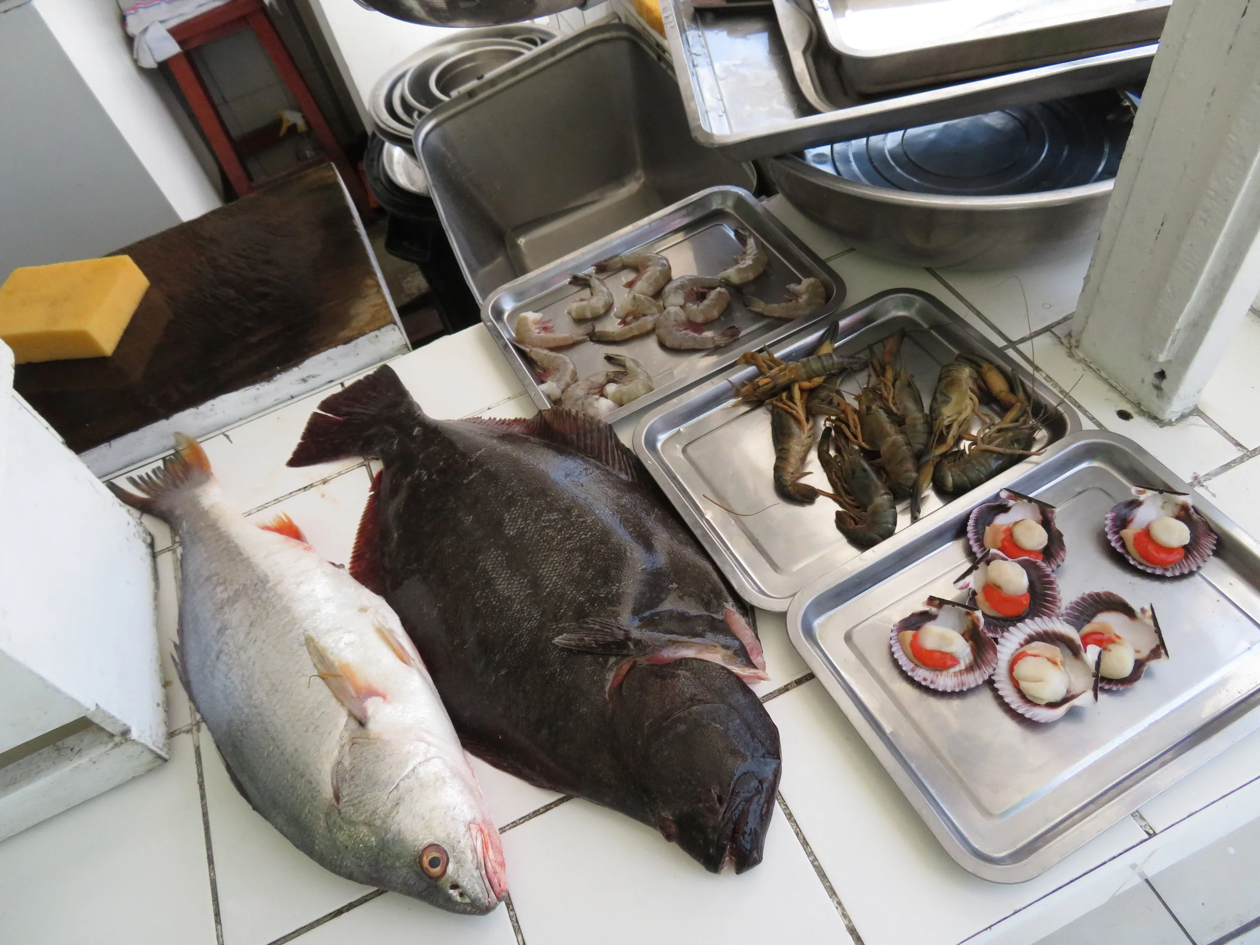 fishes.jpg