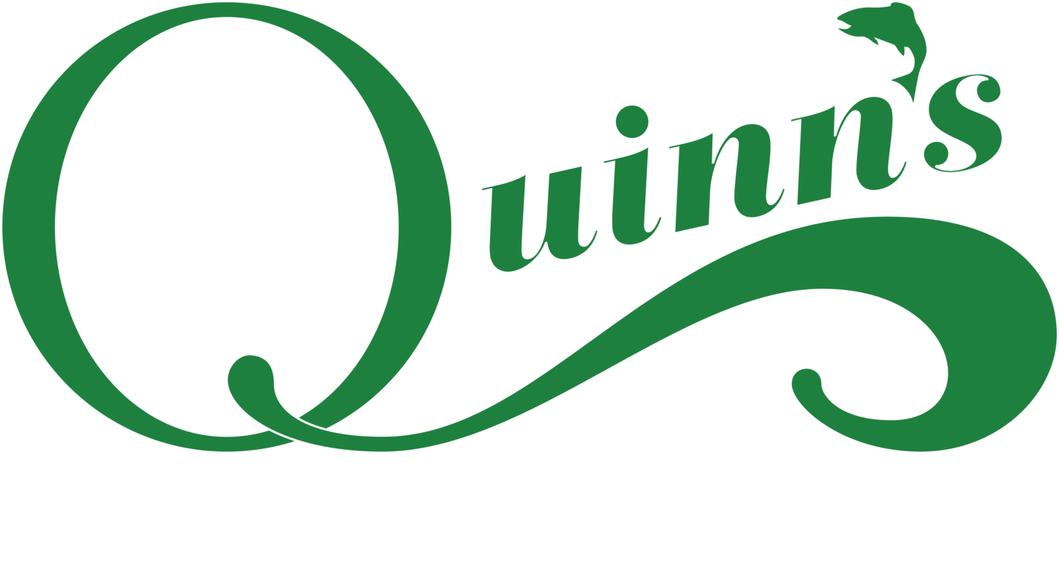 Quinn's Hot Springs Resort