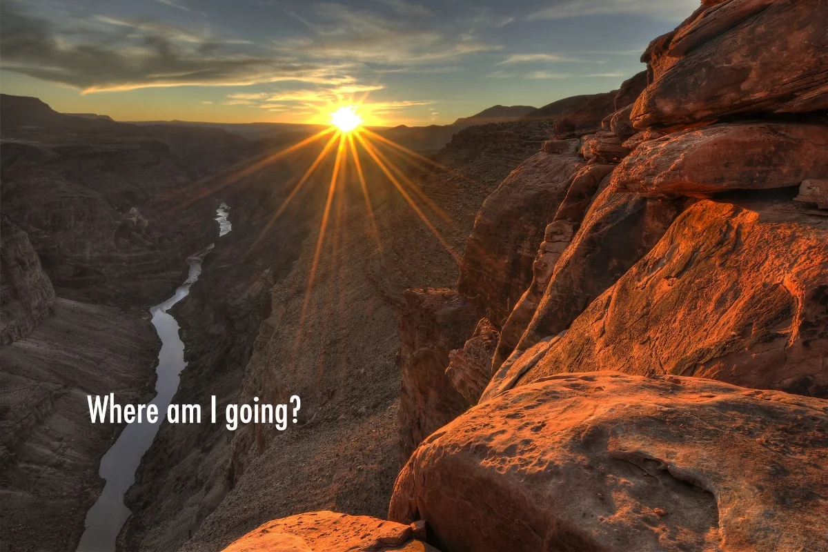 where am I going?.jpg