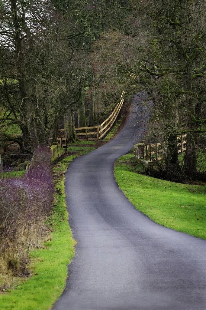 Writing Your Way Home: Exploring Belonging and Connection