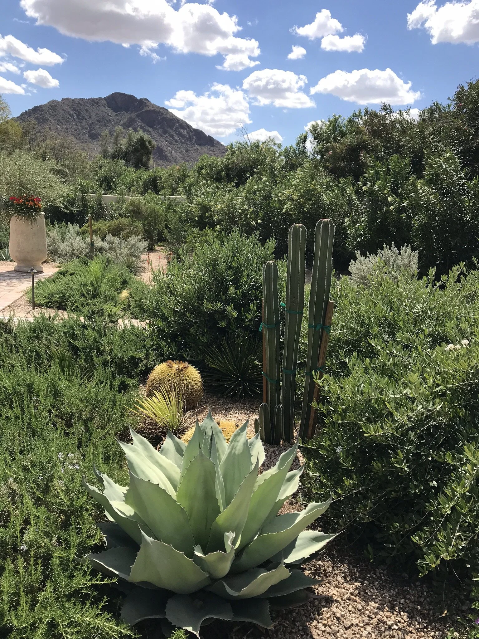 Old Town Scottsdale
