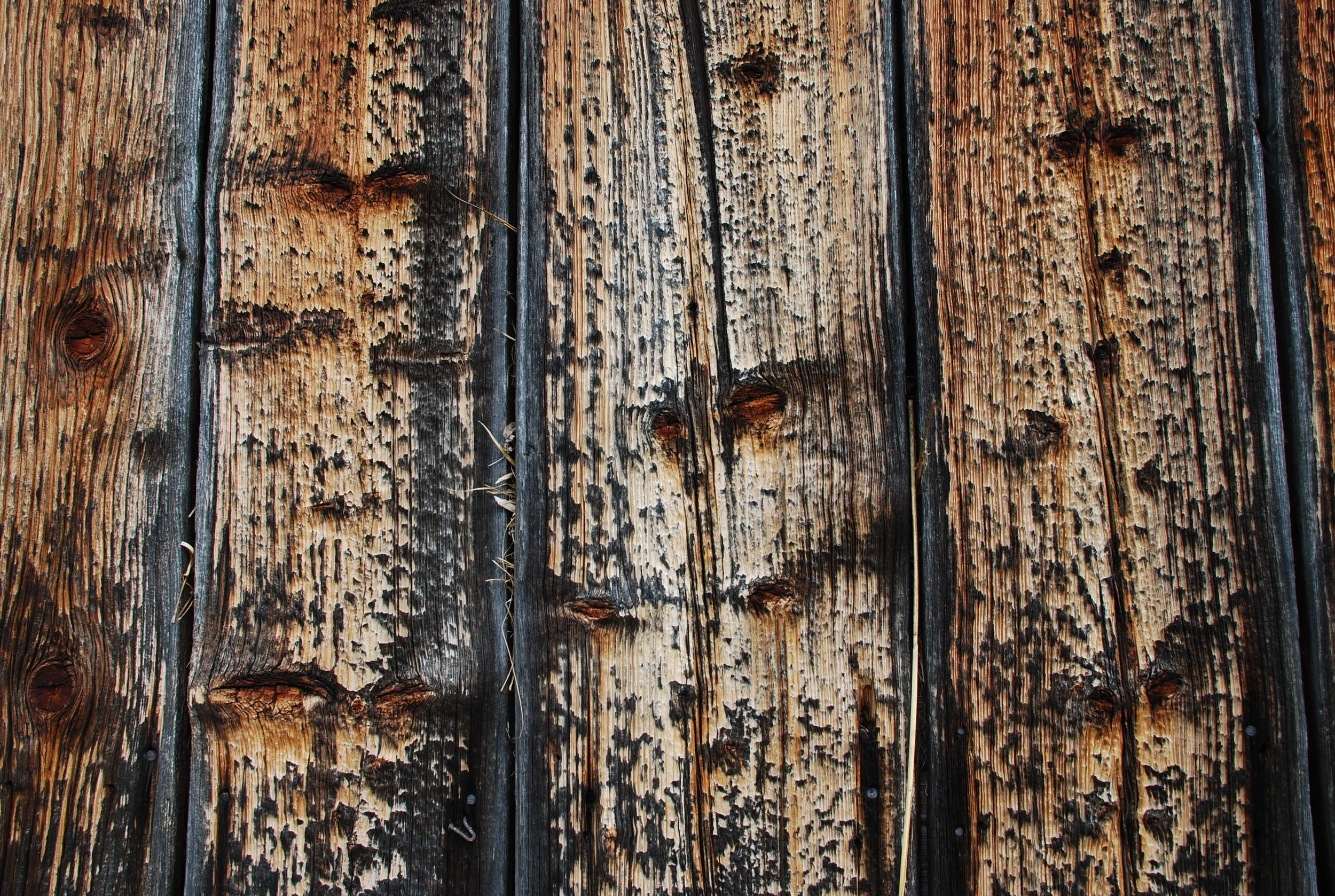 old-wooden-wall-1146910.jpg