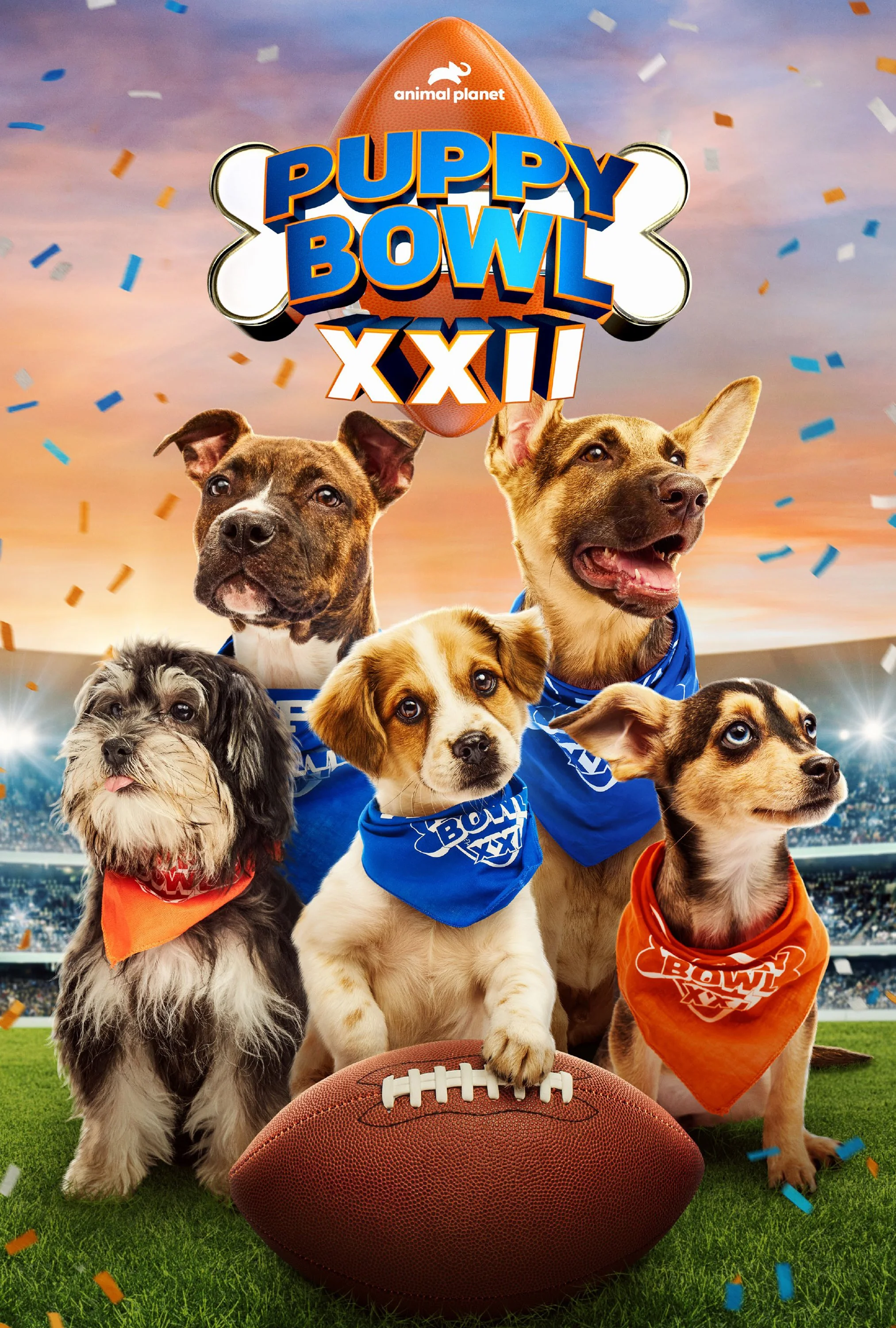 PuppyBowl2026_KA_01.jpg