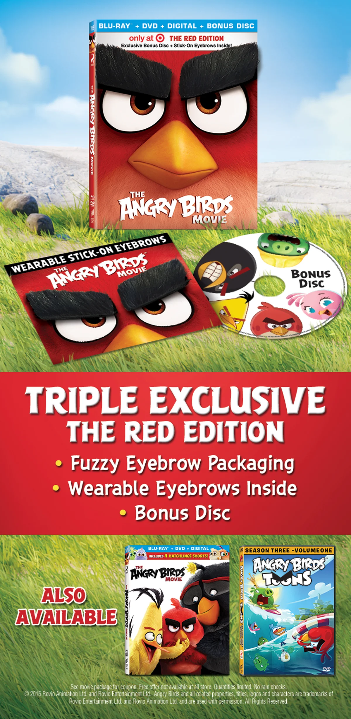 The Angry Birds Movie: Campaign — Gnah Studios, image size:1200x2454