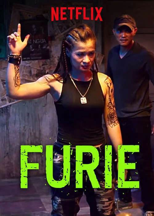 Furie_boxshot_03.jpg