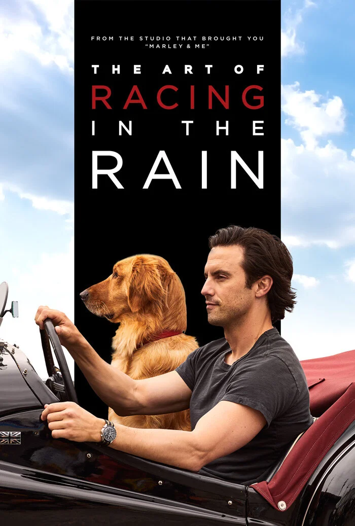 ArtOfRacingInTheRain_KA_01.jpg