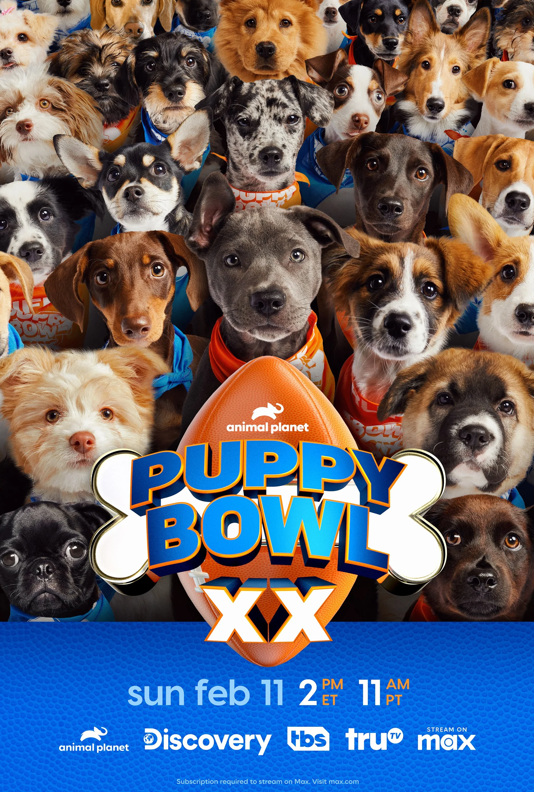 PuppyBowl2024_KA_01.jpg