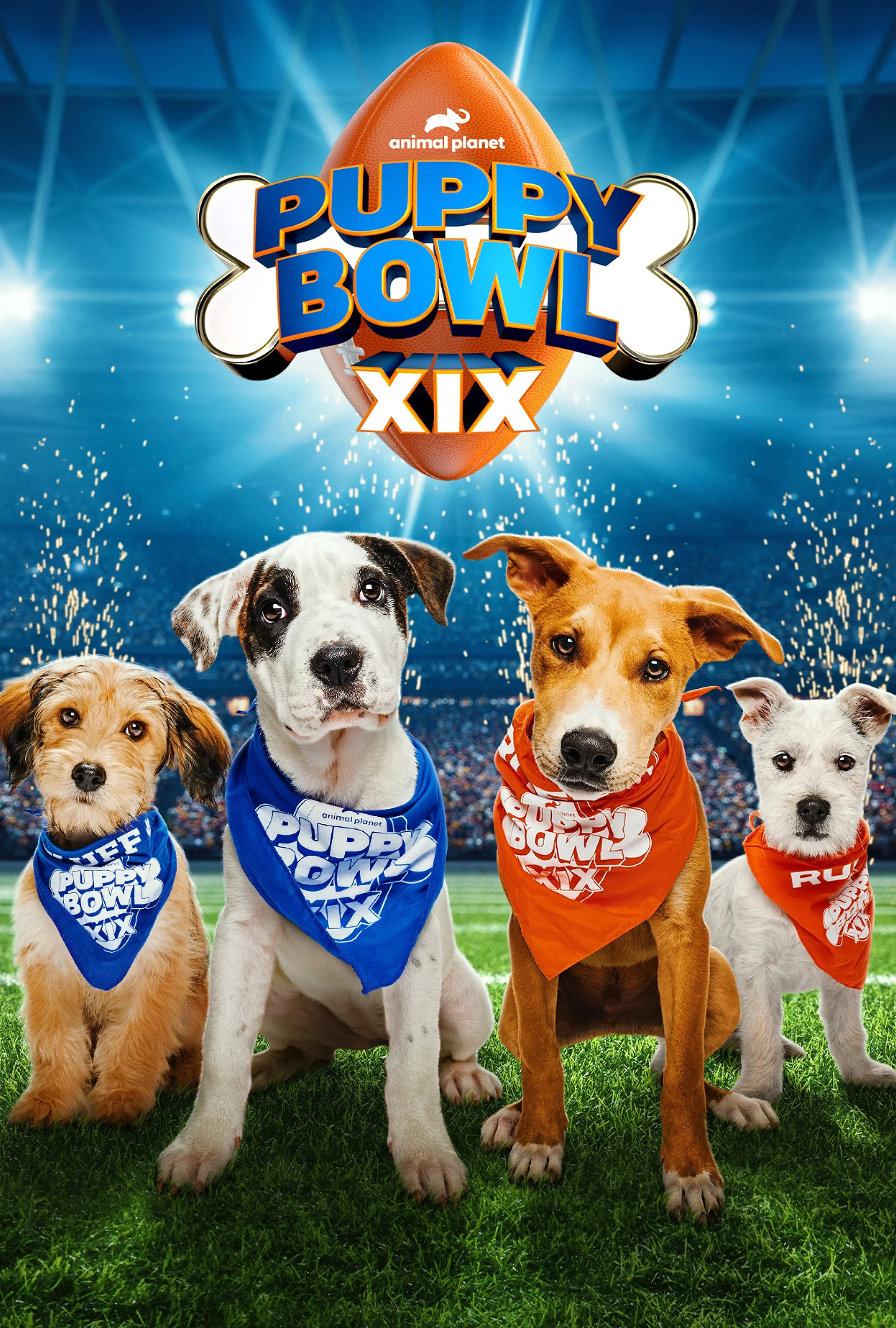 PuppyBowl2023_KA_01.jpg