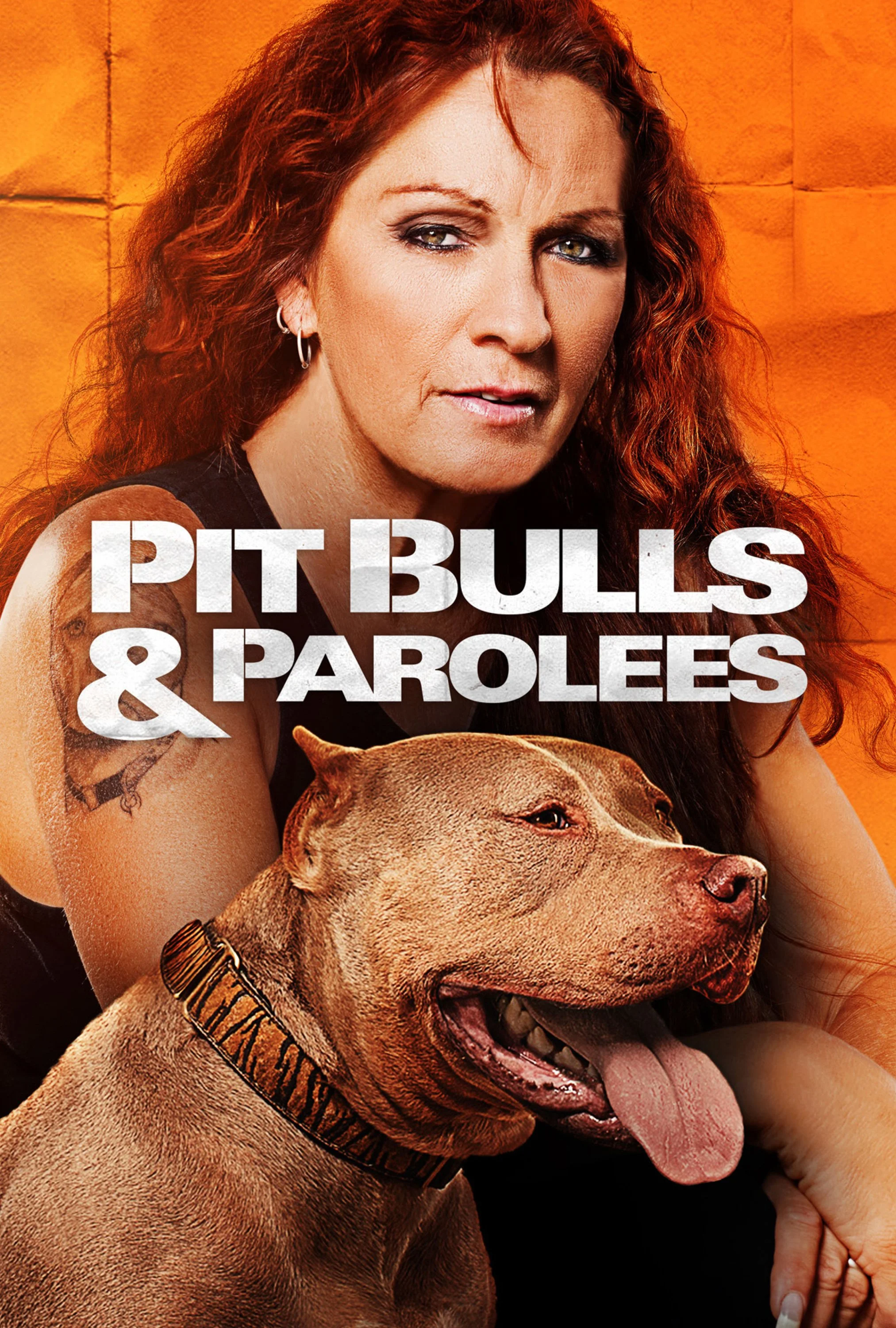 PitbullsParolees_KA_02.jpg