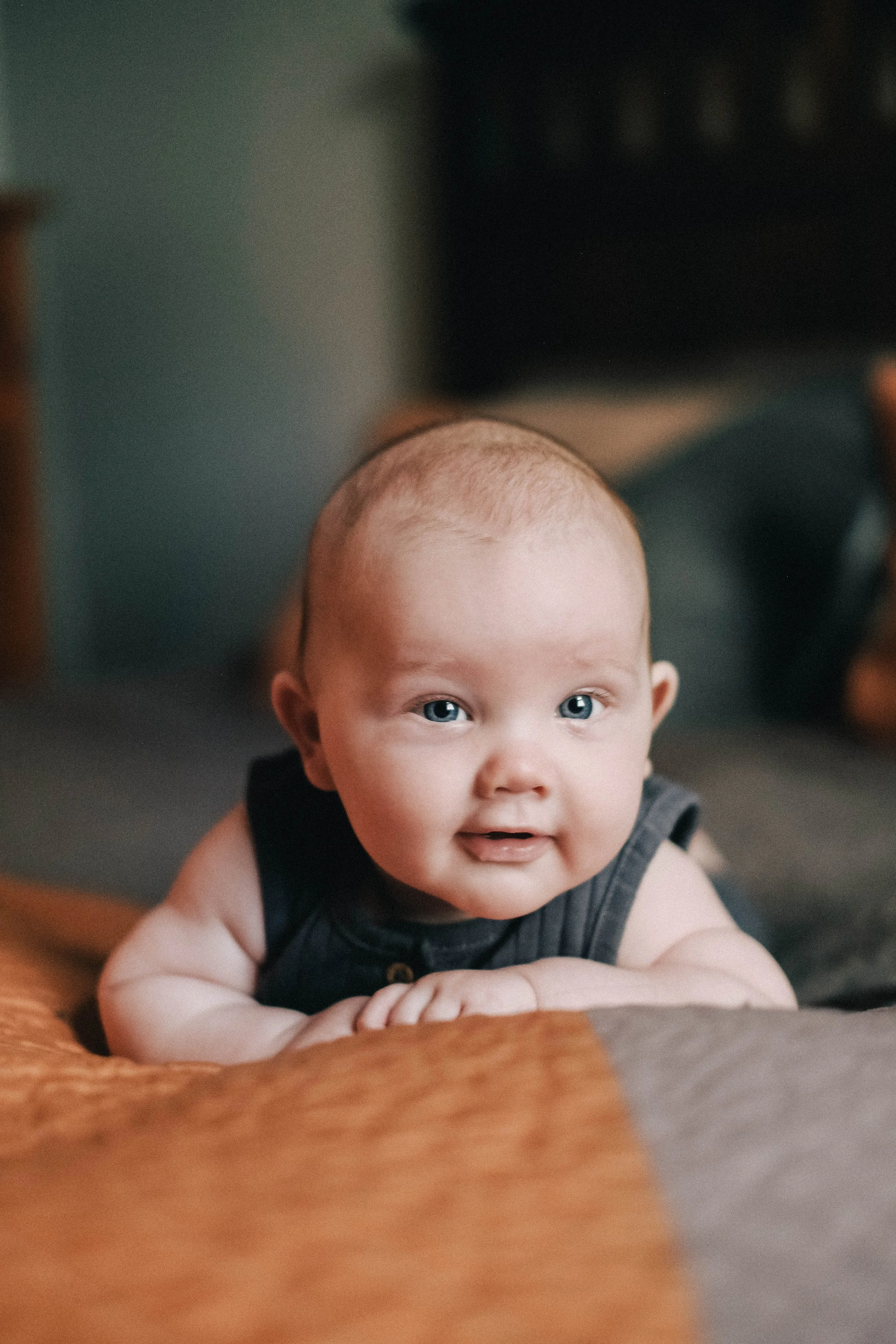 Ozzy | 6 mos