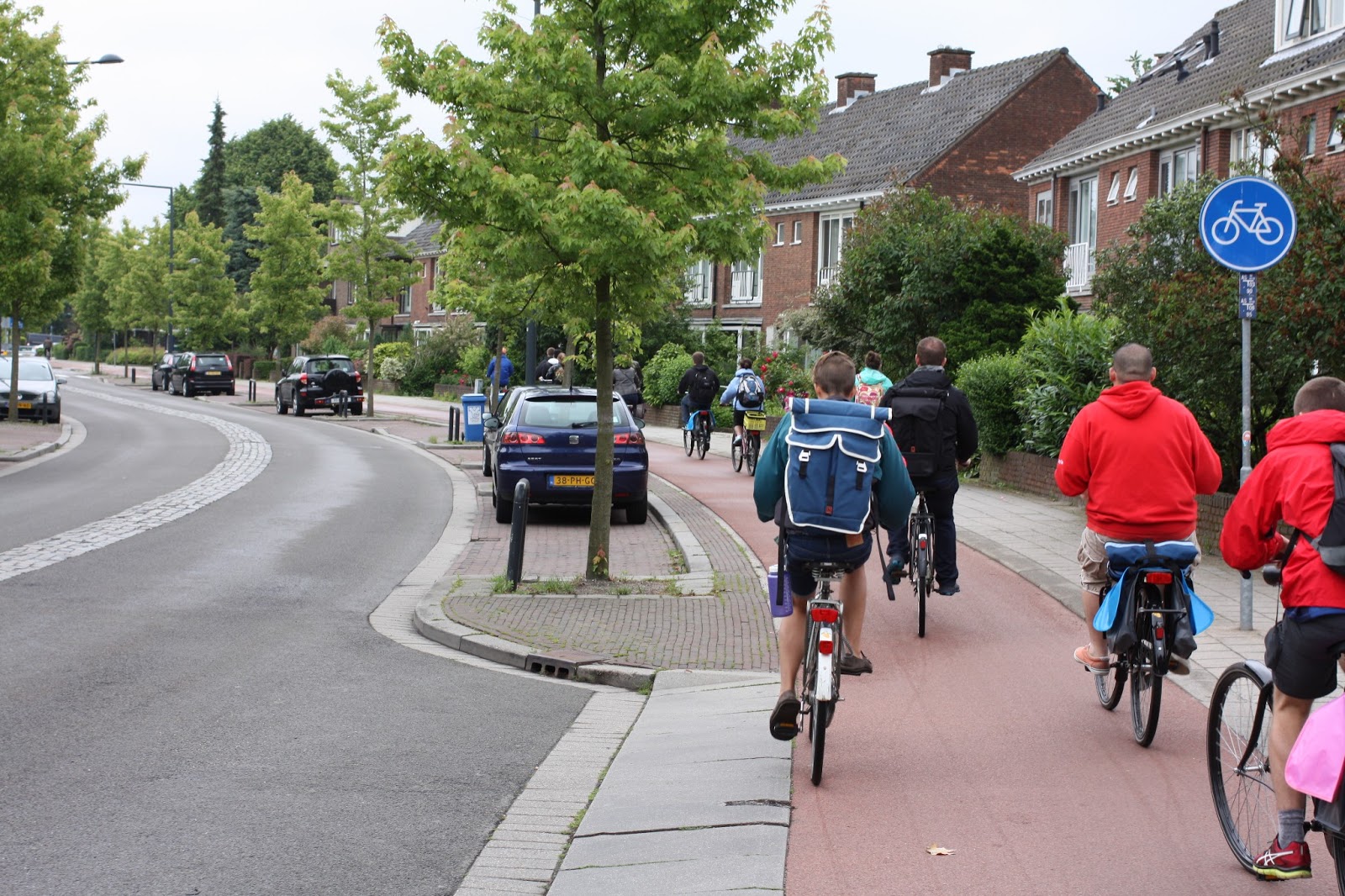 Dutch Cycle Lane - Netherlands