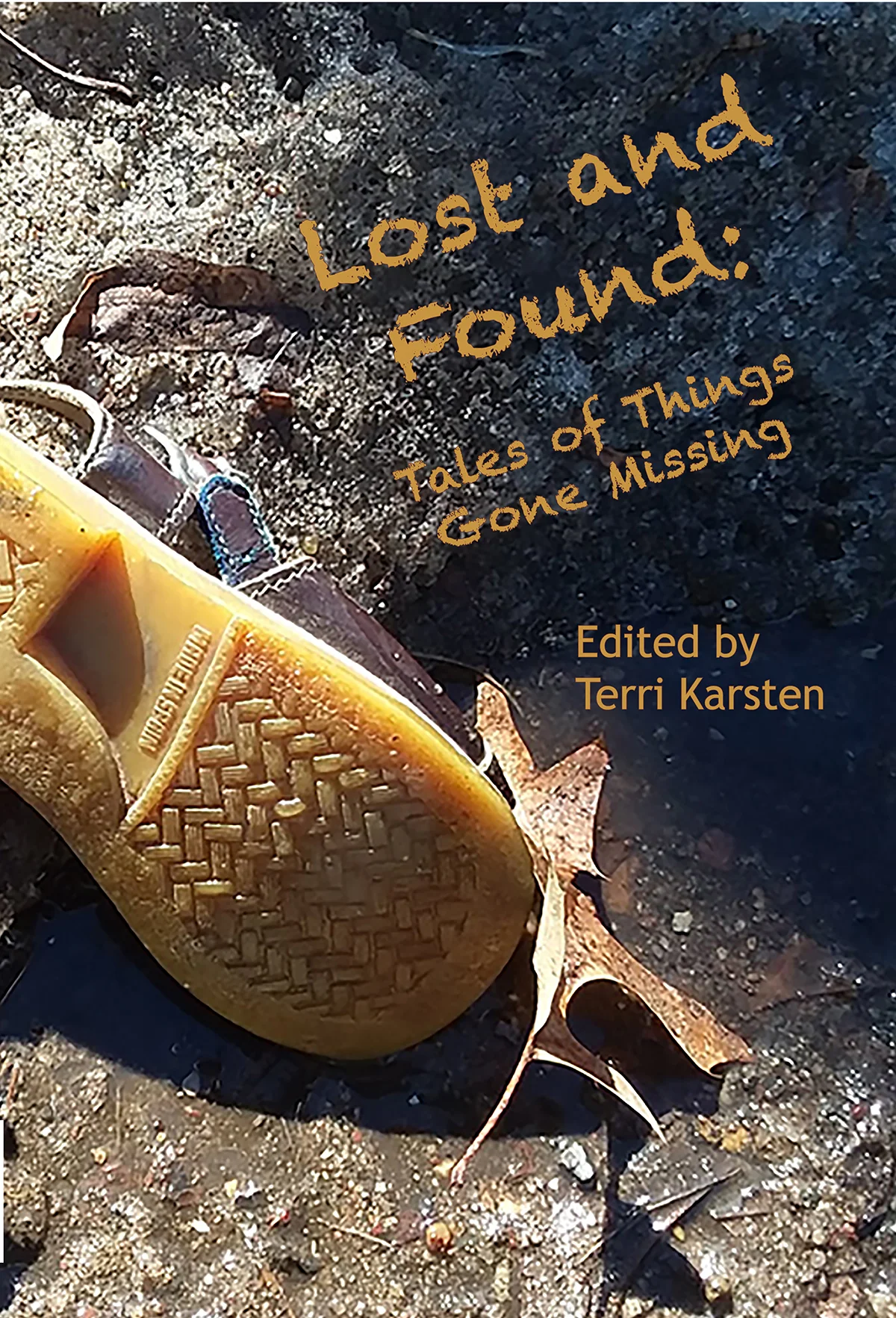 Lost Cover front small file.jpg