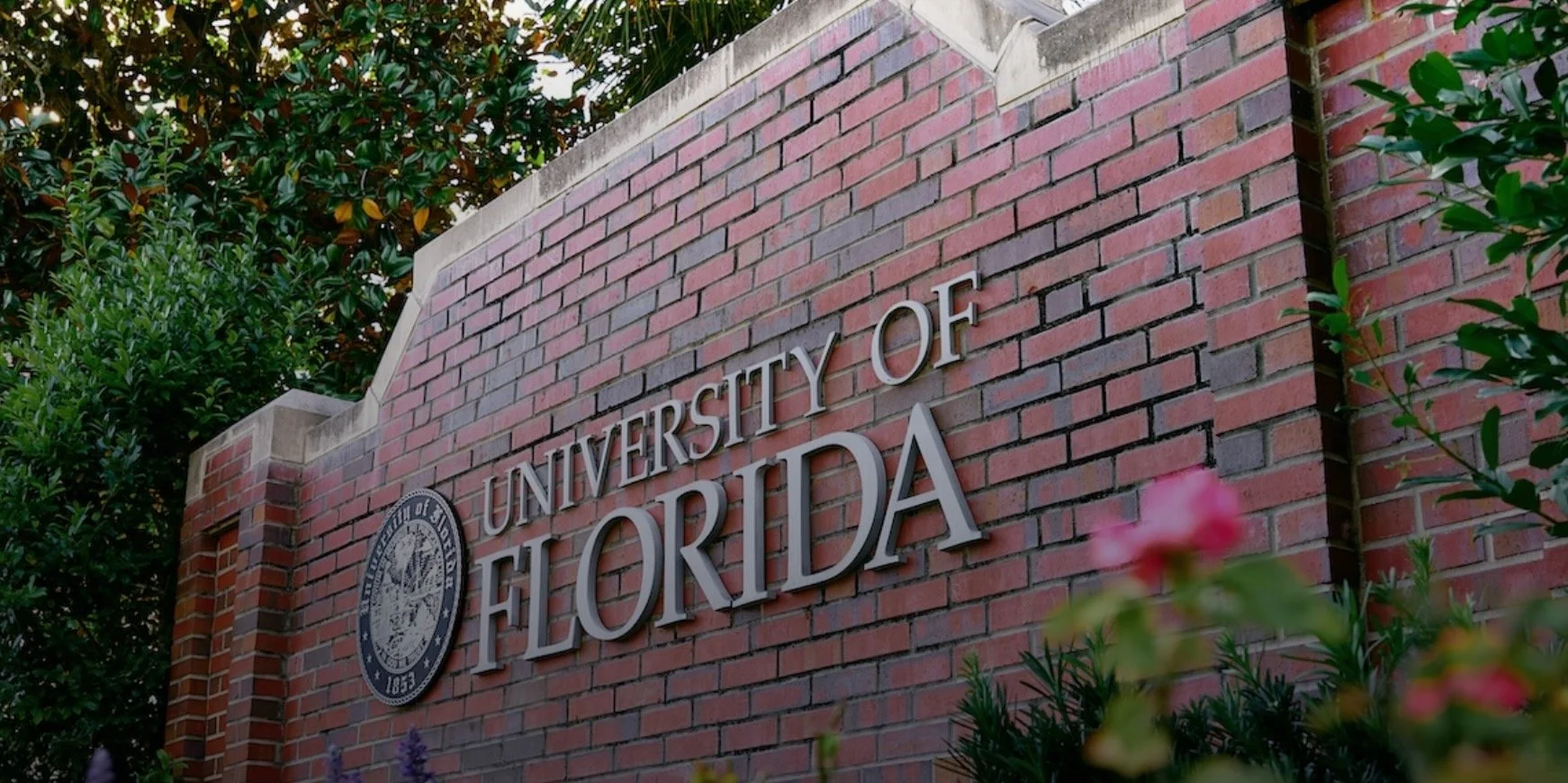 Hamilton School continues rapid growth with new faculty hires