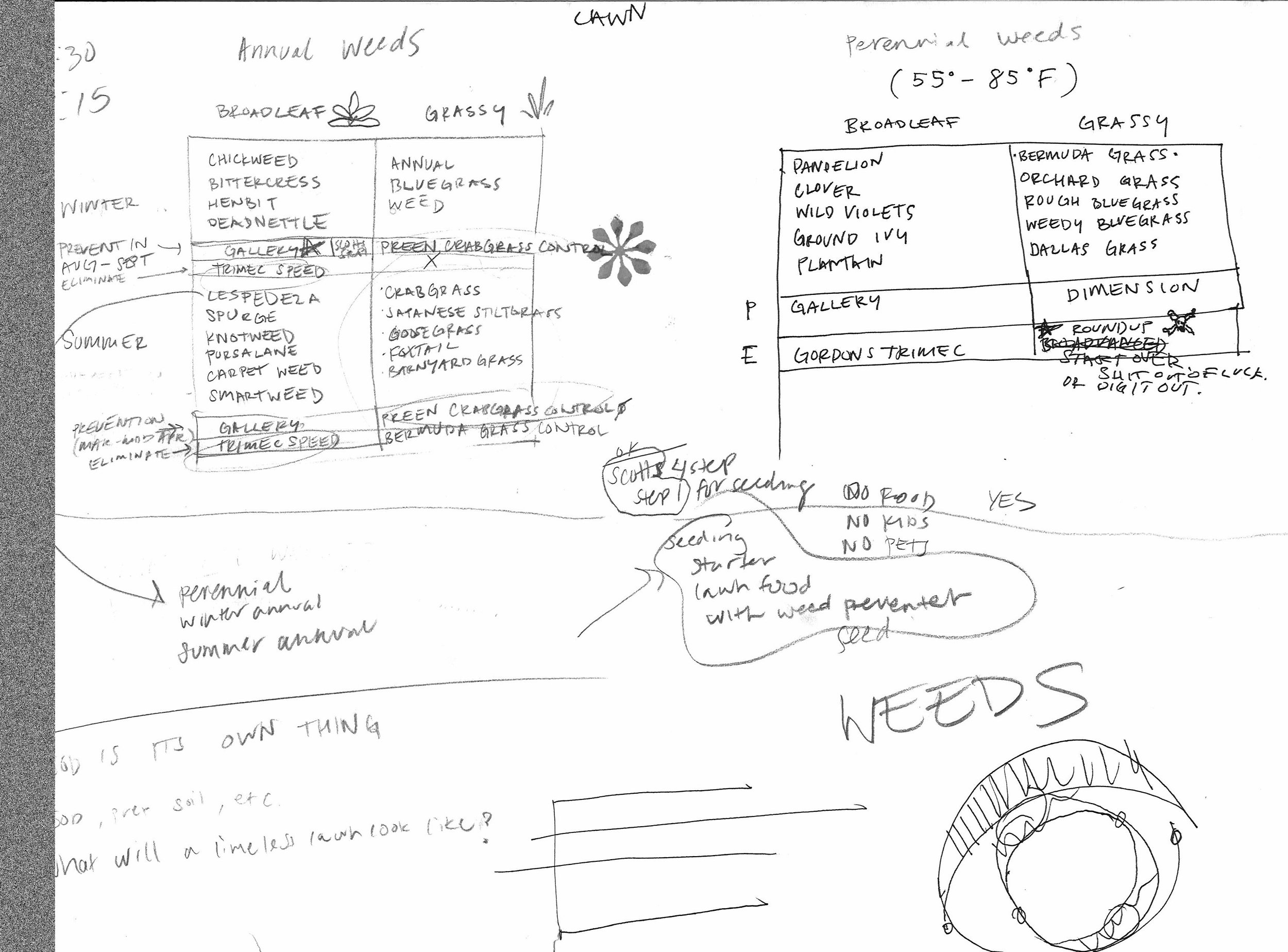 process1.jpeg