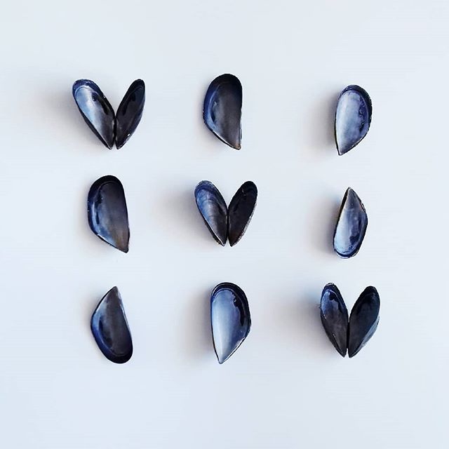 Playing with yesterday's lunch 😁
I'm sending you love and wish you a great start of the new week.

#monday #playing #mussels #foodporn #foodphotography #love #minimalism #minimalmood #tictactoe #moments #photooftheday
