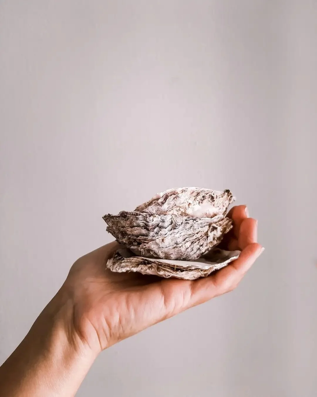 Da bi na&scaron;ao blago koje traži&scaron;, mora&scaron; zaroniti duboko u sebe jer se najvrijednija blaga nalaze u najdubljim predjelima tvog postojanja. 

#beachlover #beachtreasures #oceantreasures #divedeeper #loveyourself #being