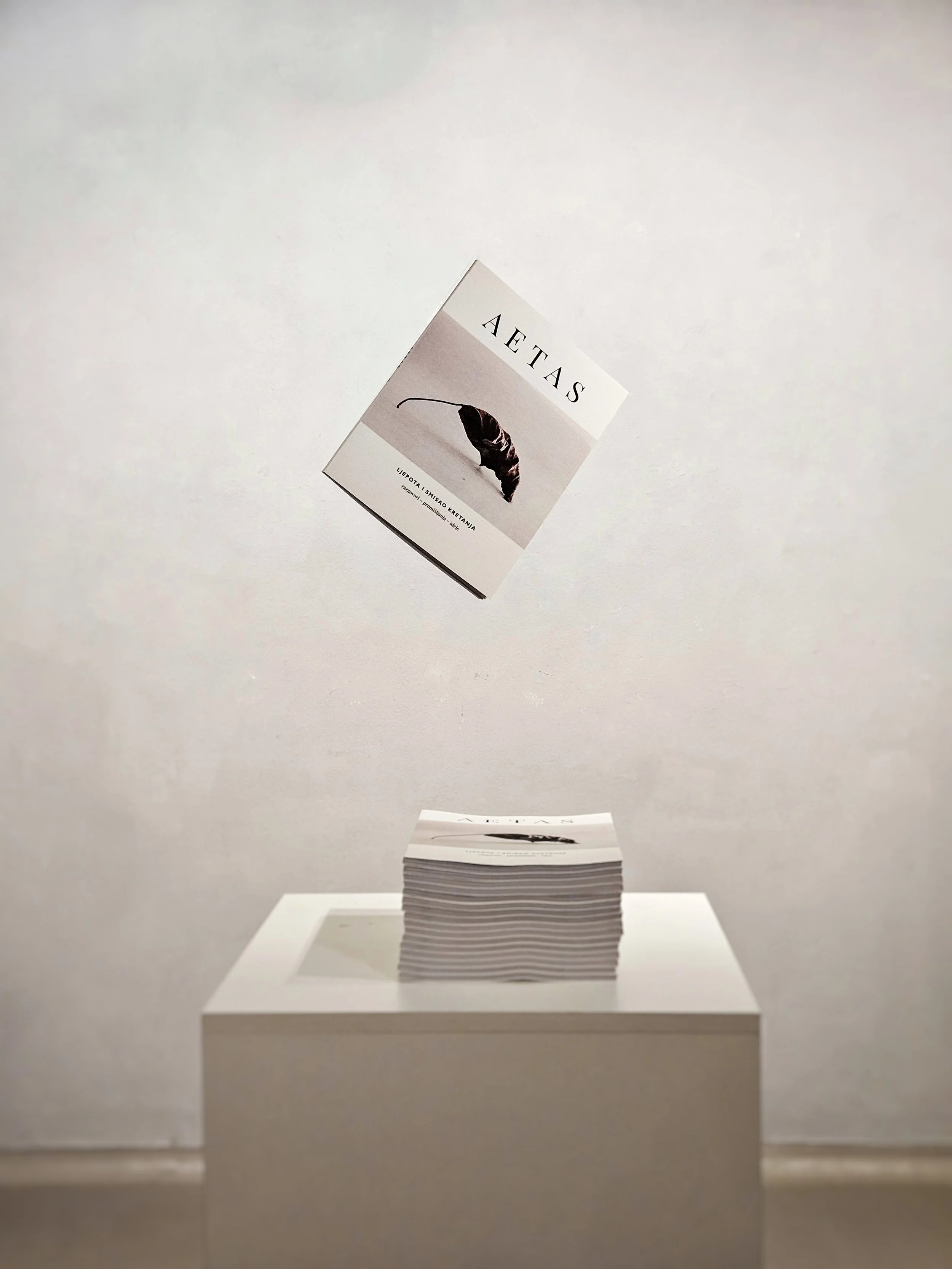 20260127_183206 (1).jpg