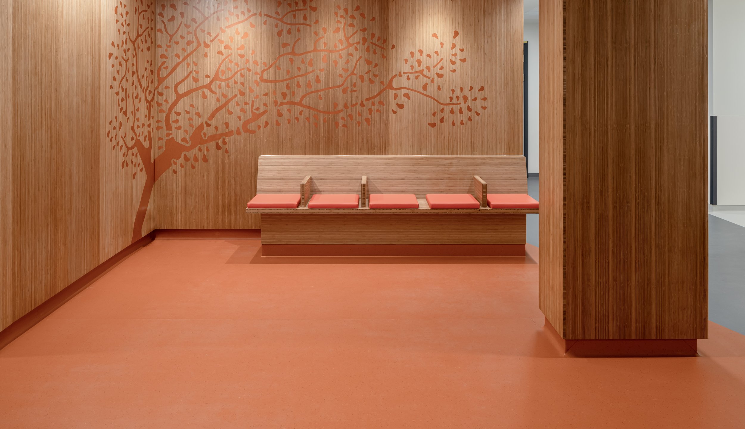 Work complete for Bat Studio Photography by Simon Kennedy
