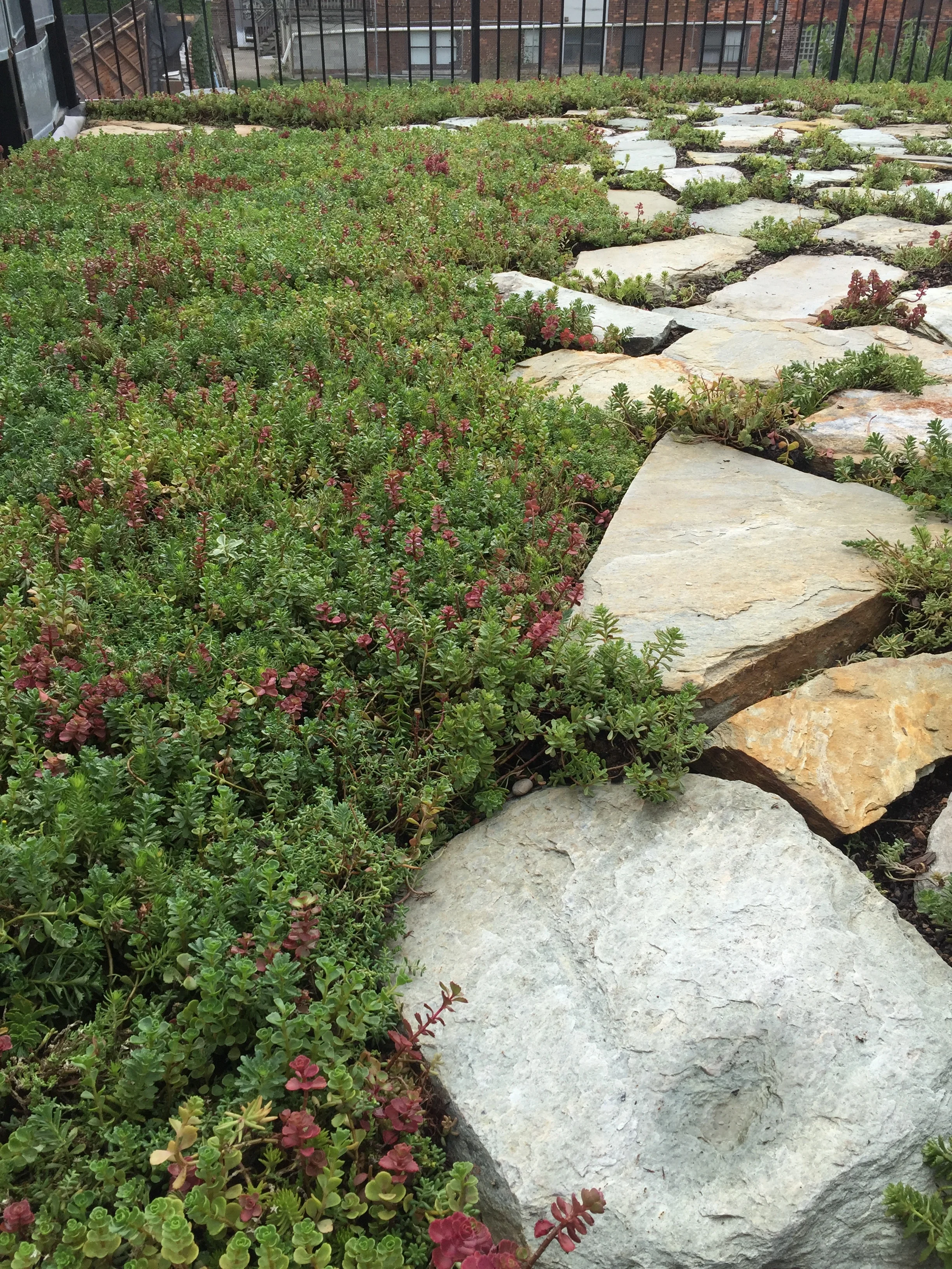 2016-08-09 16.00.45.jpg