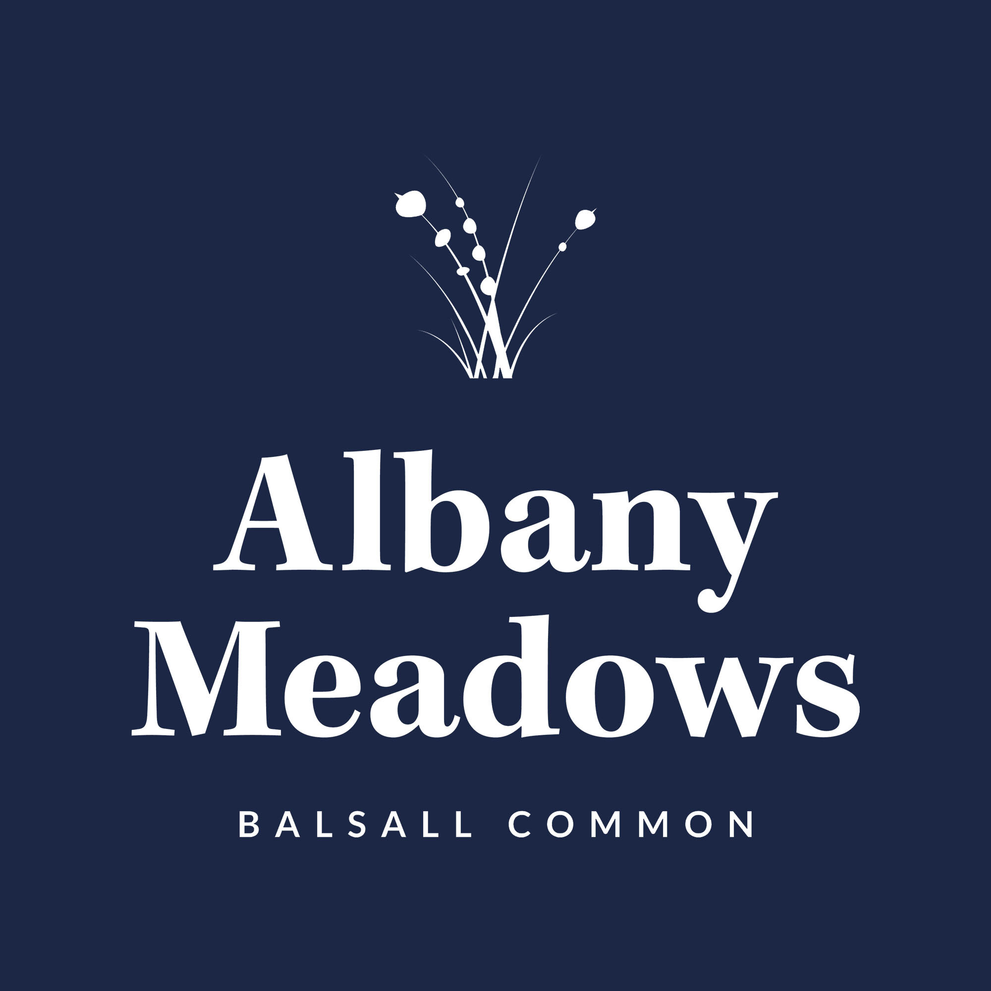 Albany meadows II.jpg