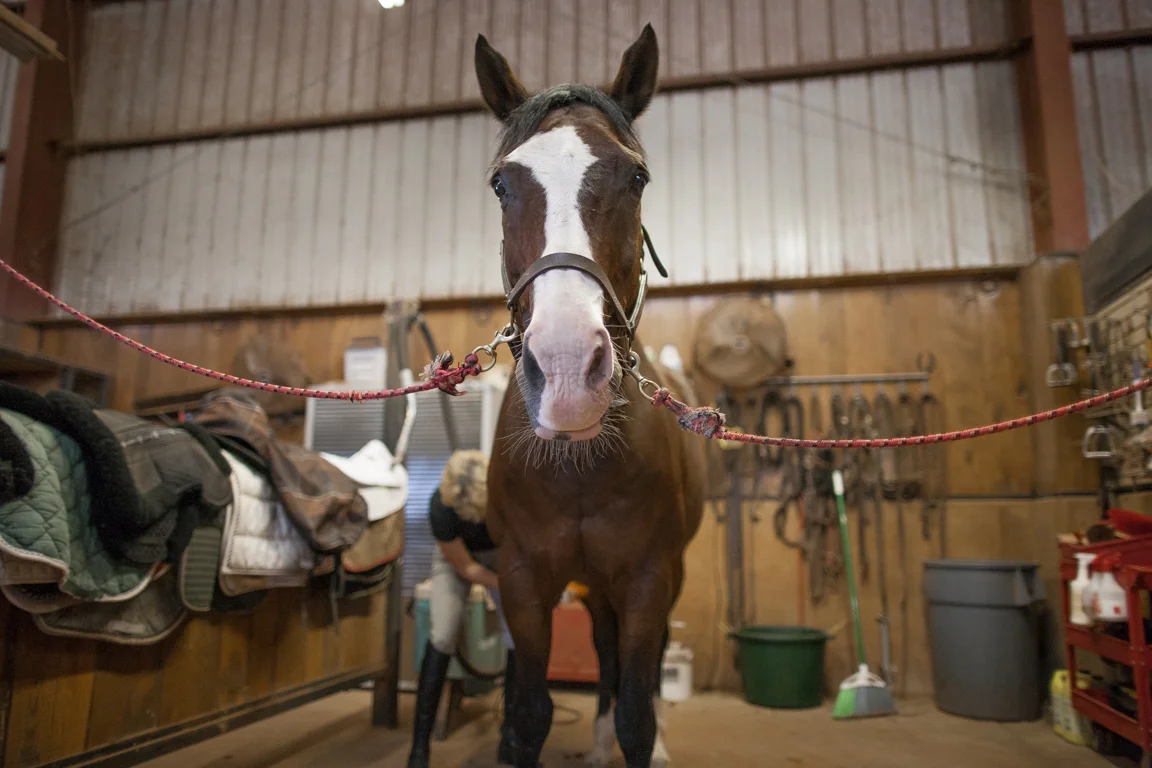Groom-1.jpg