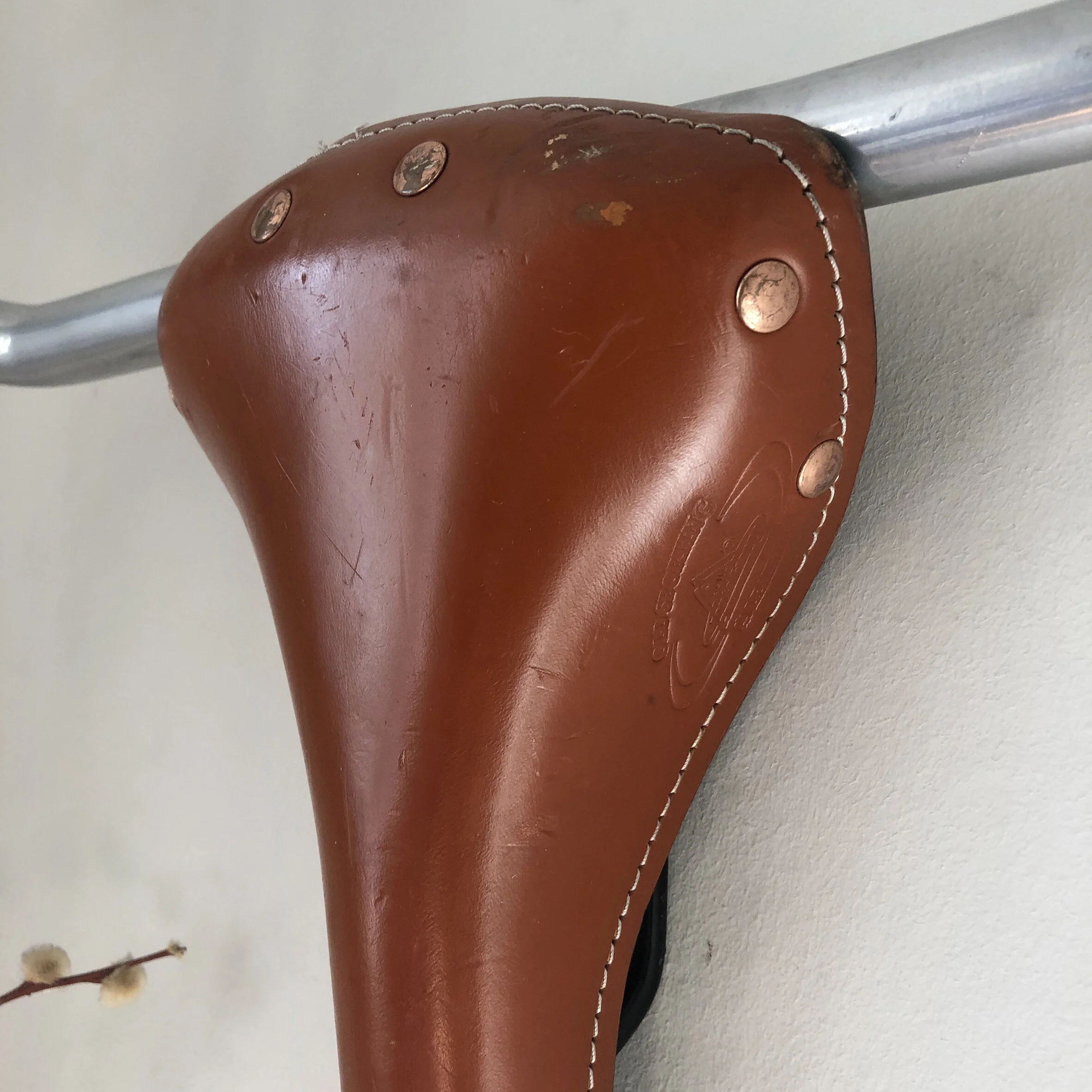 BICYCLE BULLS HEAD (version 14)