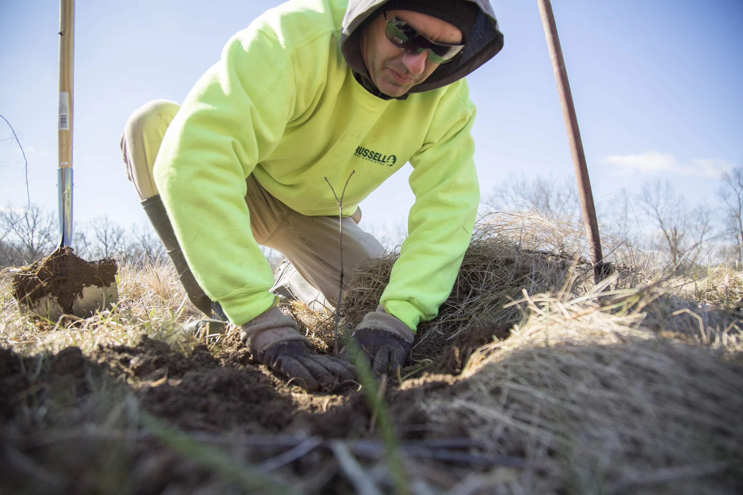 180303_treeforatree_planting_0078.jpg